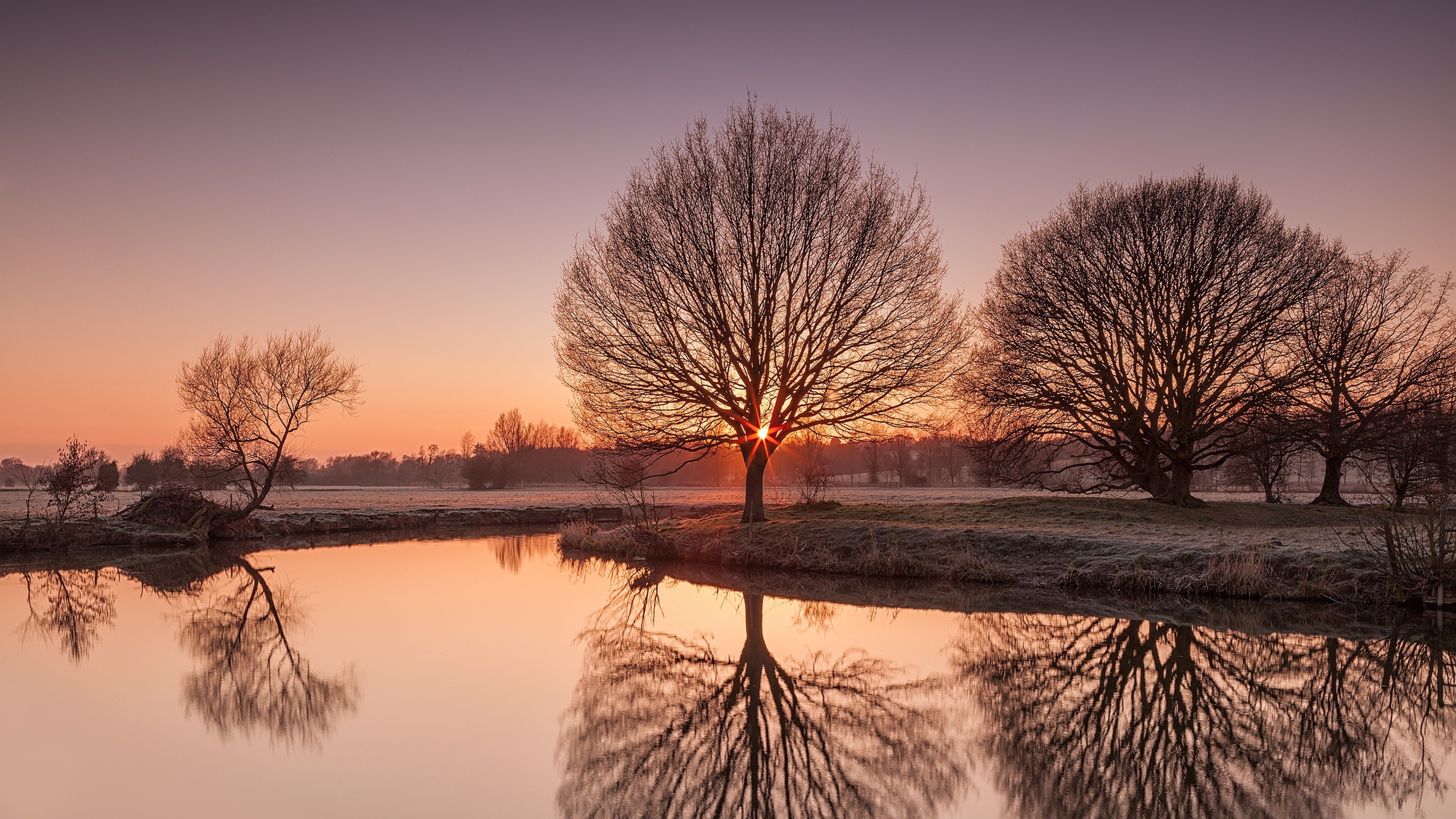 light, trees, river, nature, HD Wallpaper