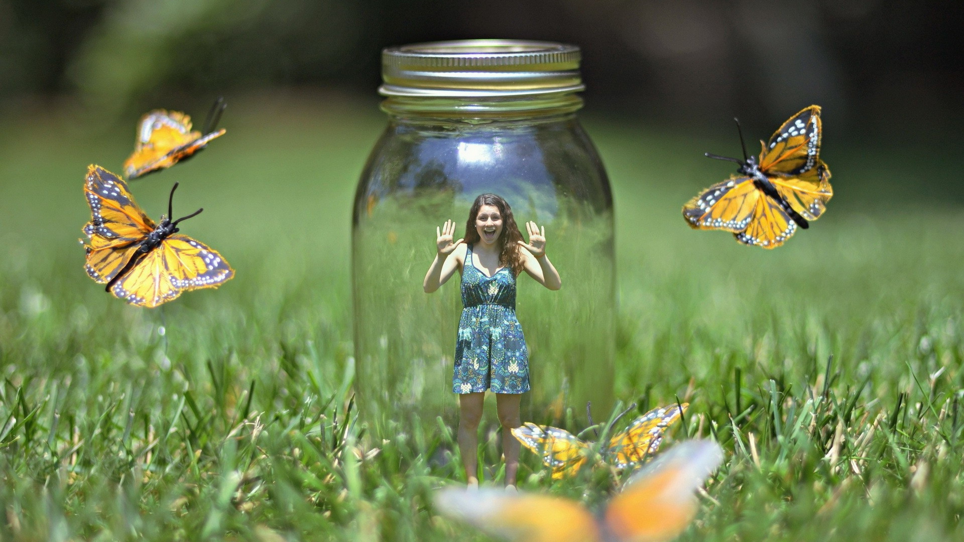 butterfly, artist, digital art, art, girl, HD Wallpaper