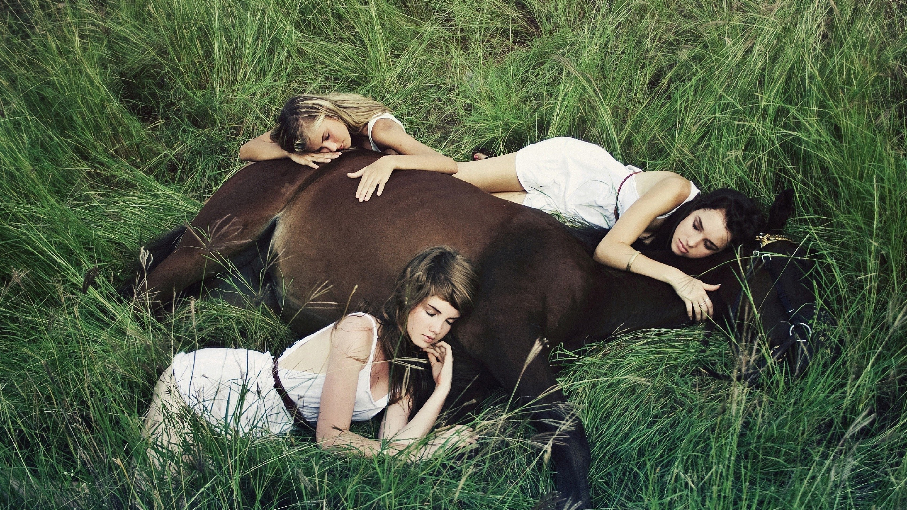 girls, animals, horses, grass, photography, HD Wallpaper