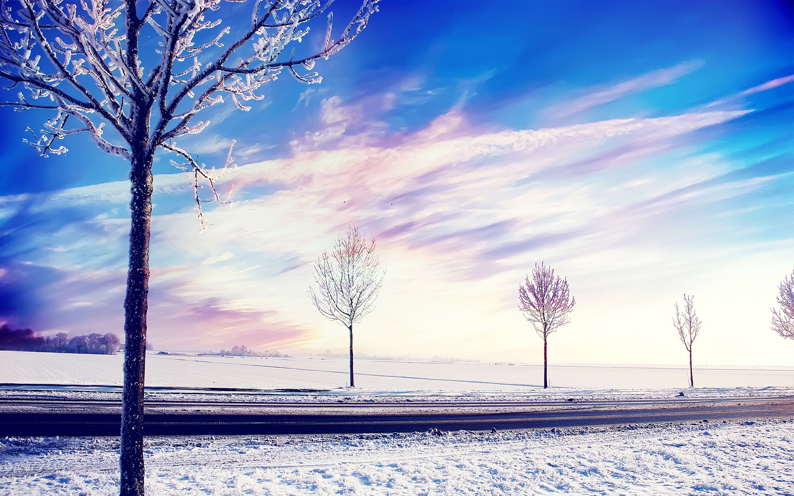 snow, winter, trees, nature, HD Wallpaper