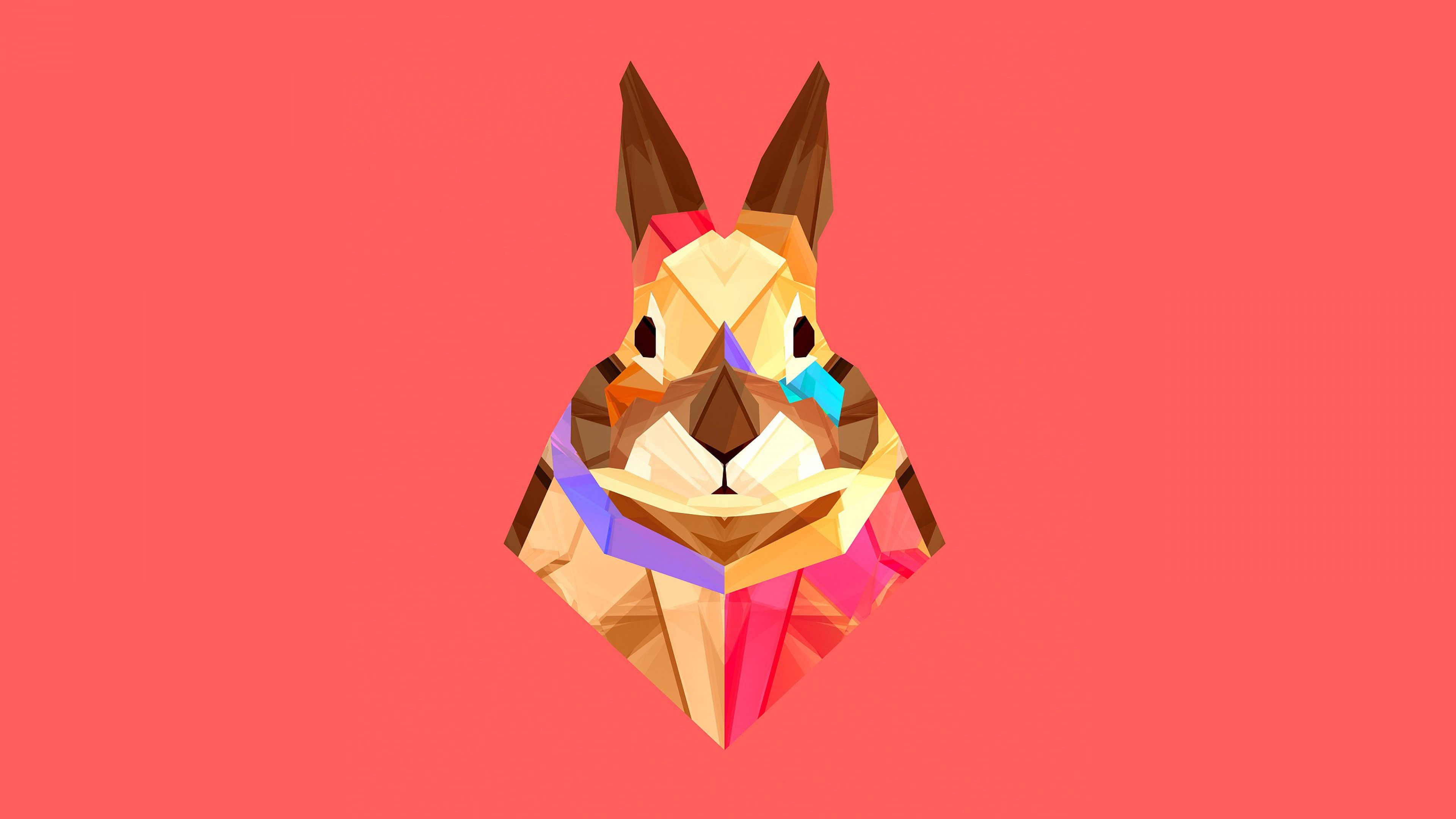 rabbit, artist, digital art, vector, HD Wallpaper