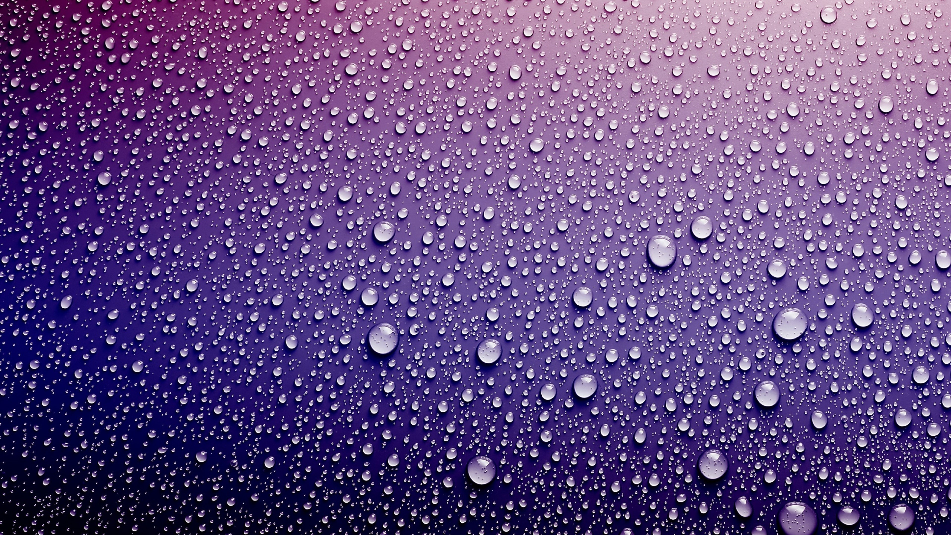 drops, nature, surface, waterdrops, HD Wallpaper