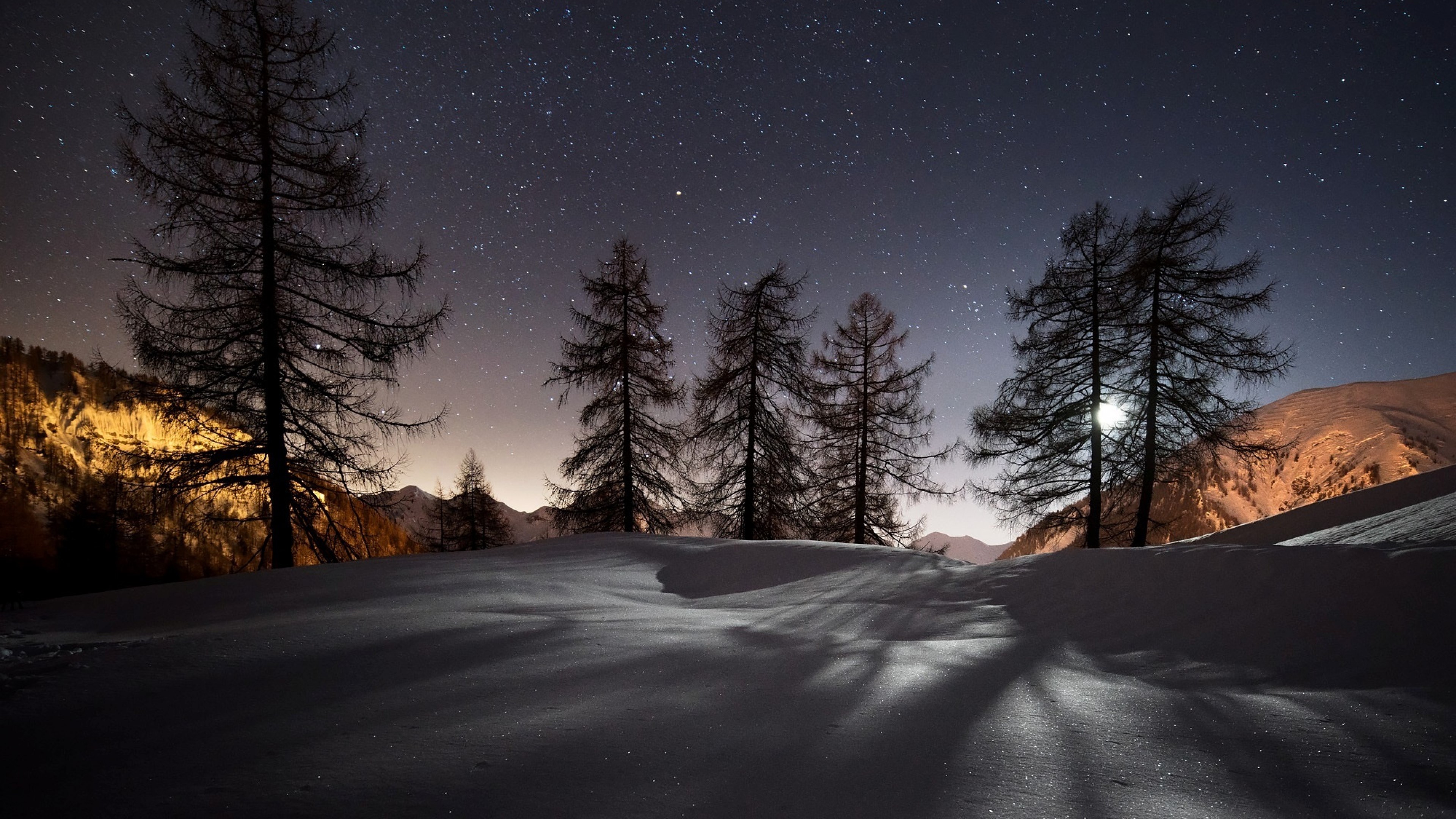 winter, trees, snow, nature, HD Wallpaper