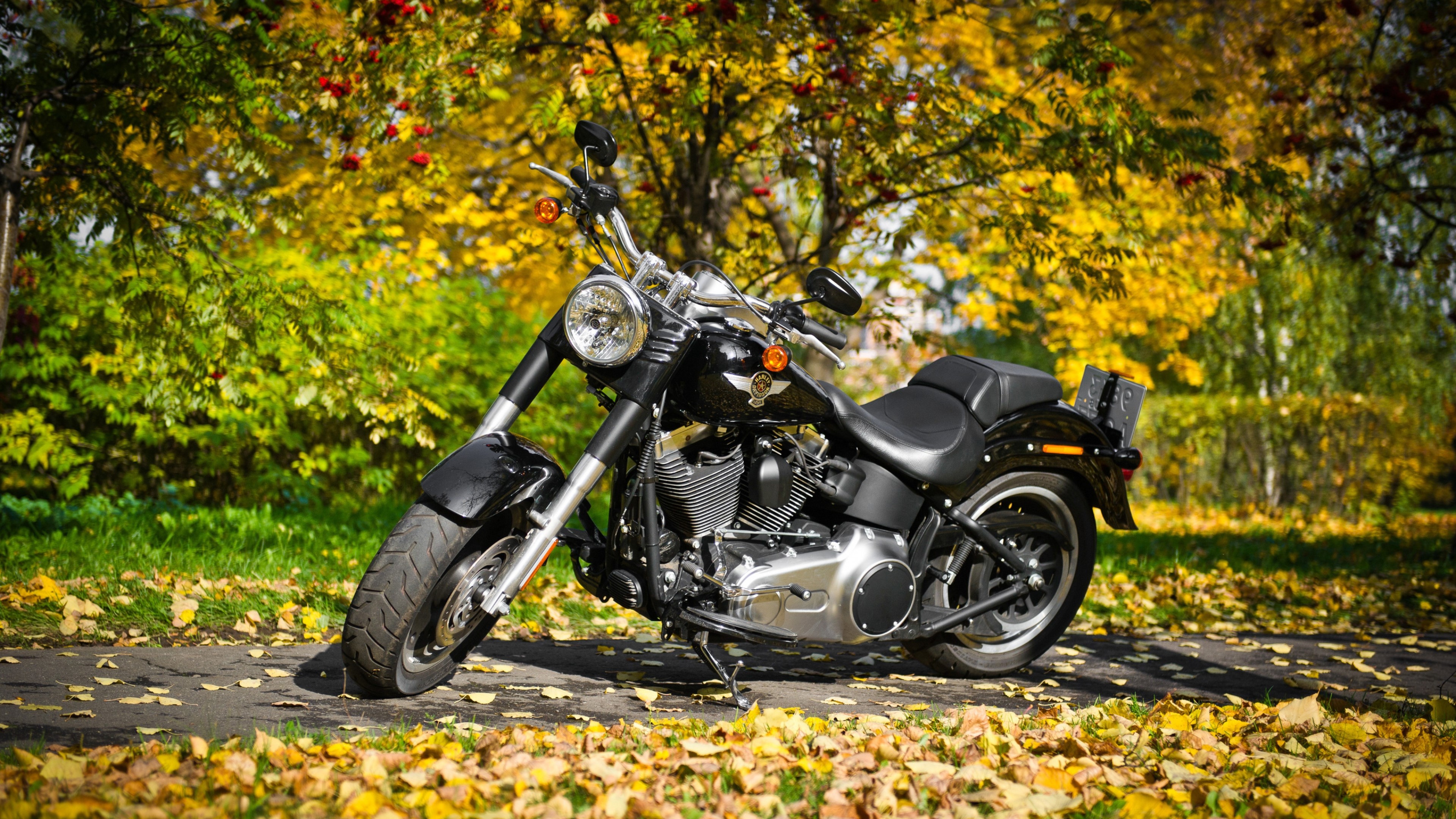 harley davidson, bikes, HD Wallpaper