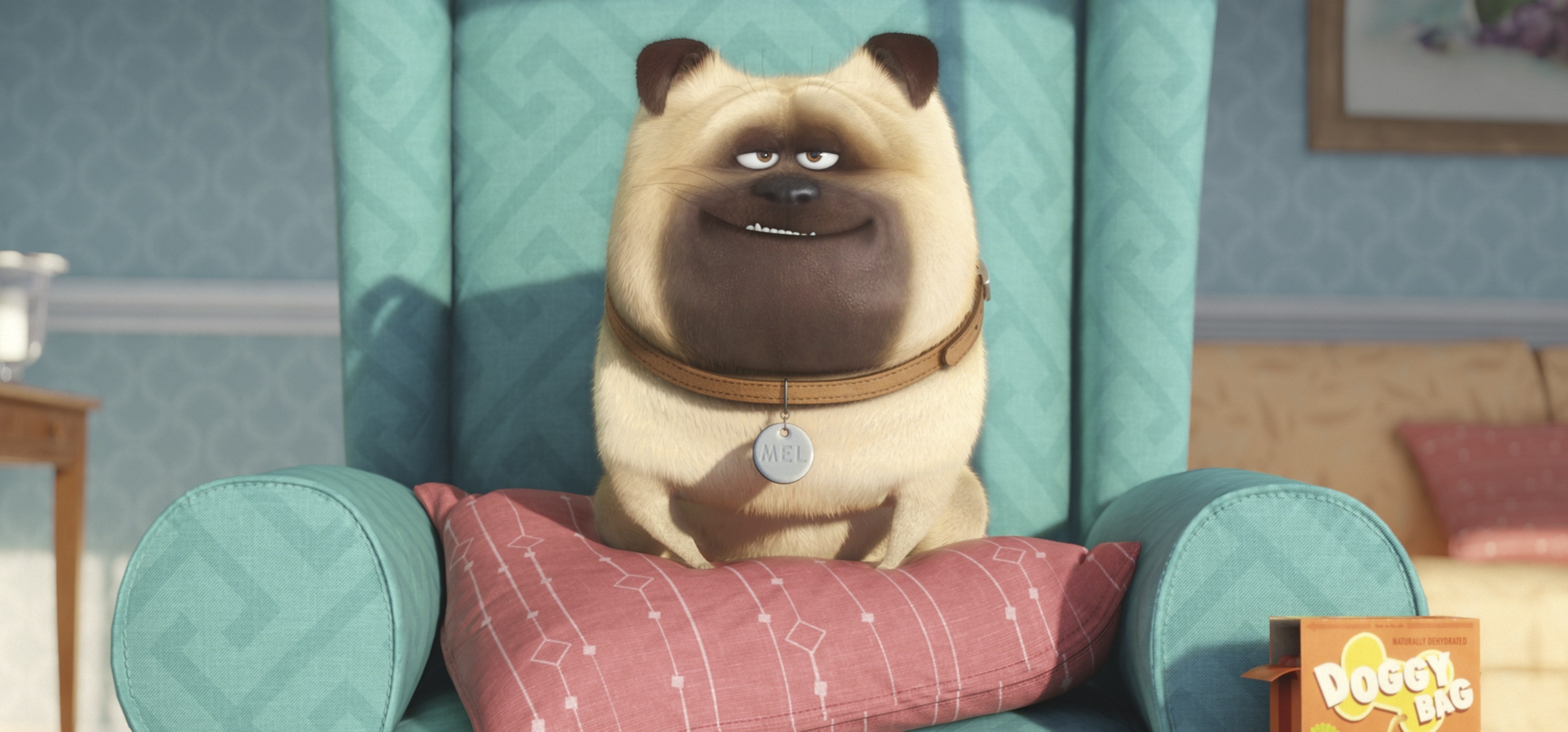 the secret life of pets, movies, animated movies, cartoons, HD Wallpaper