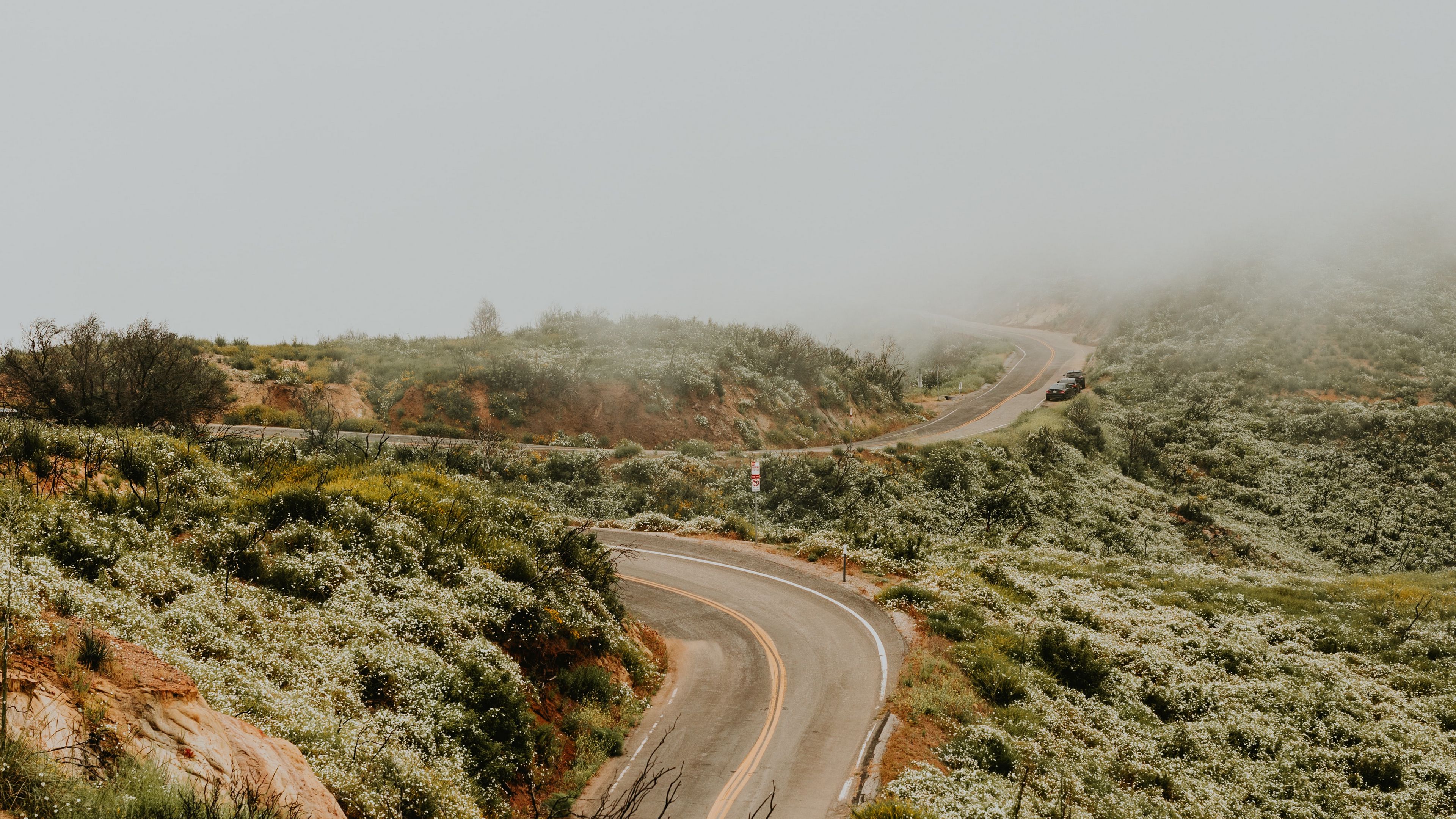 road, marking, winding, fog, grass, 4k, HD Wallpaper