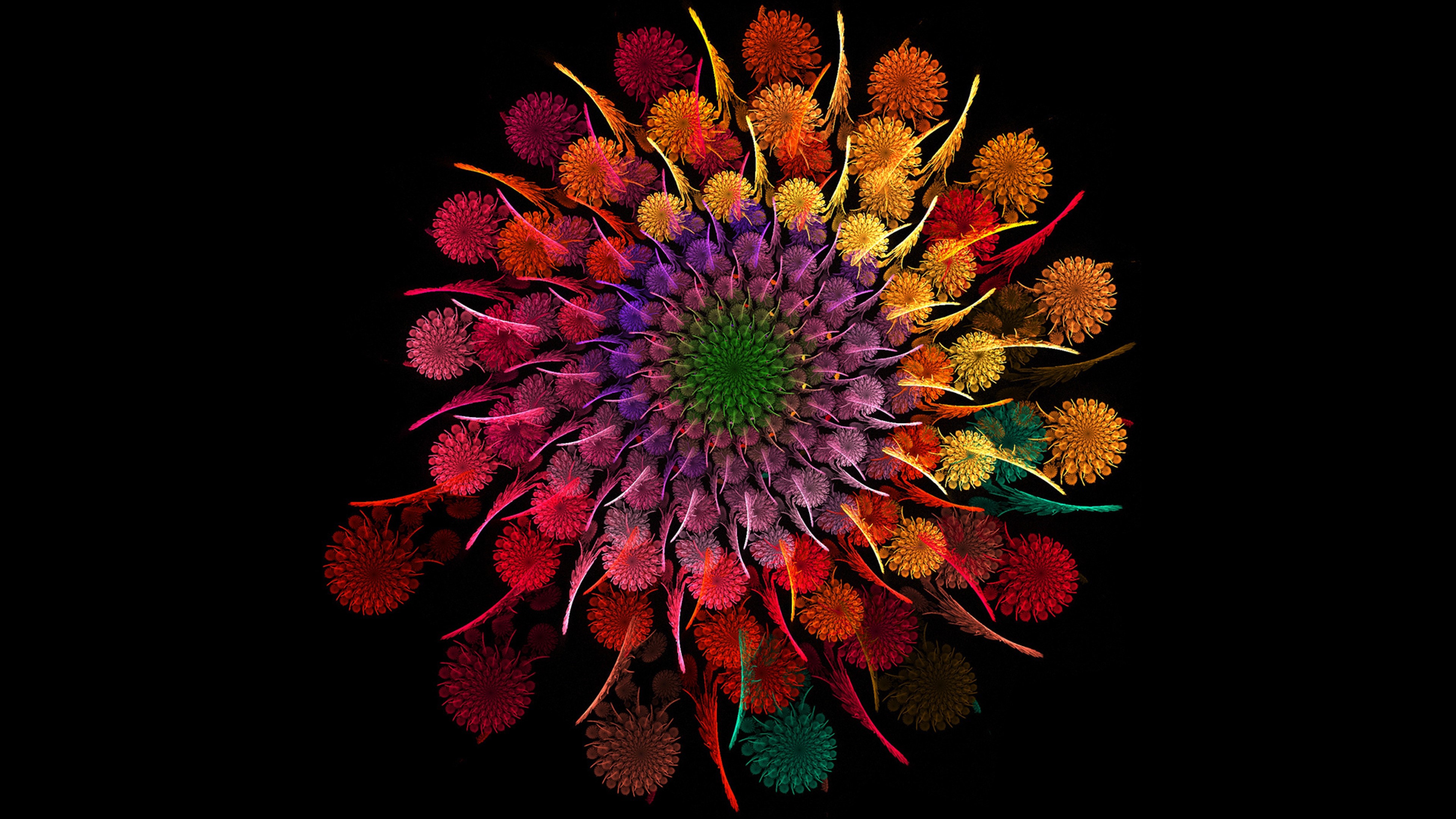flowers, rainbow, HD Wallpaper
