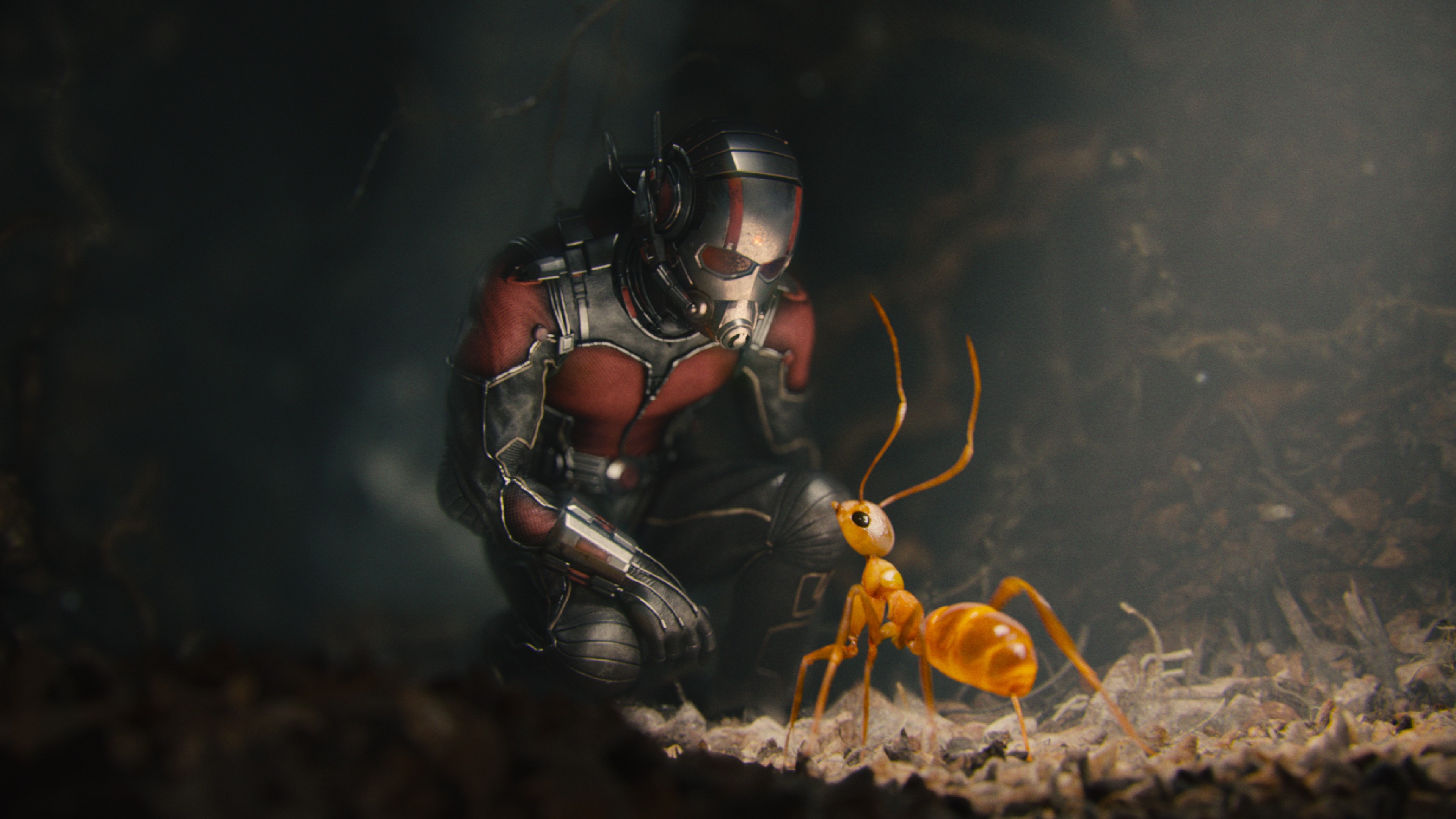 ant man, movies, HD Wallpaper