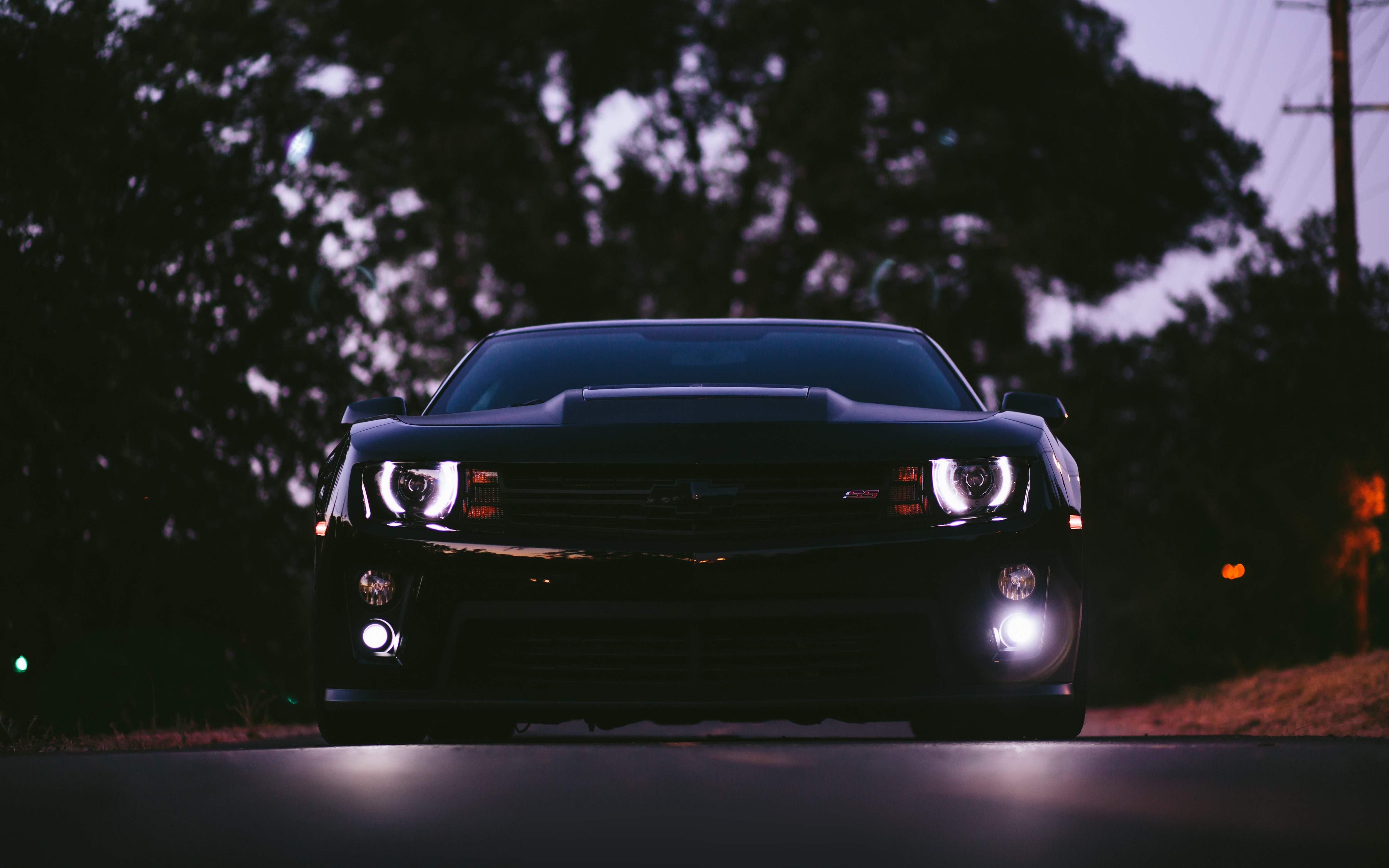 chevrolet, camaro, cars, racing, new, 2016, HD Wallpaper