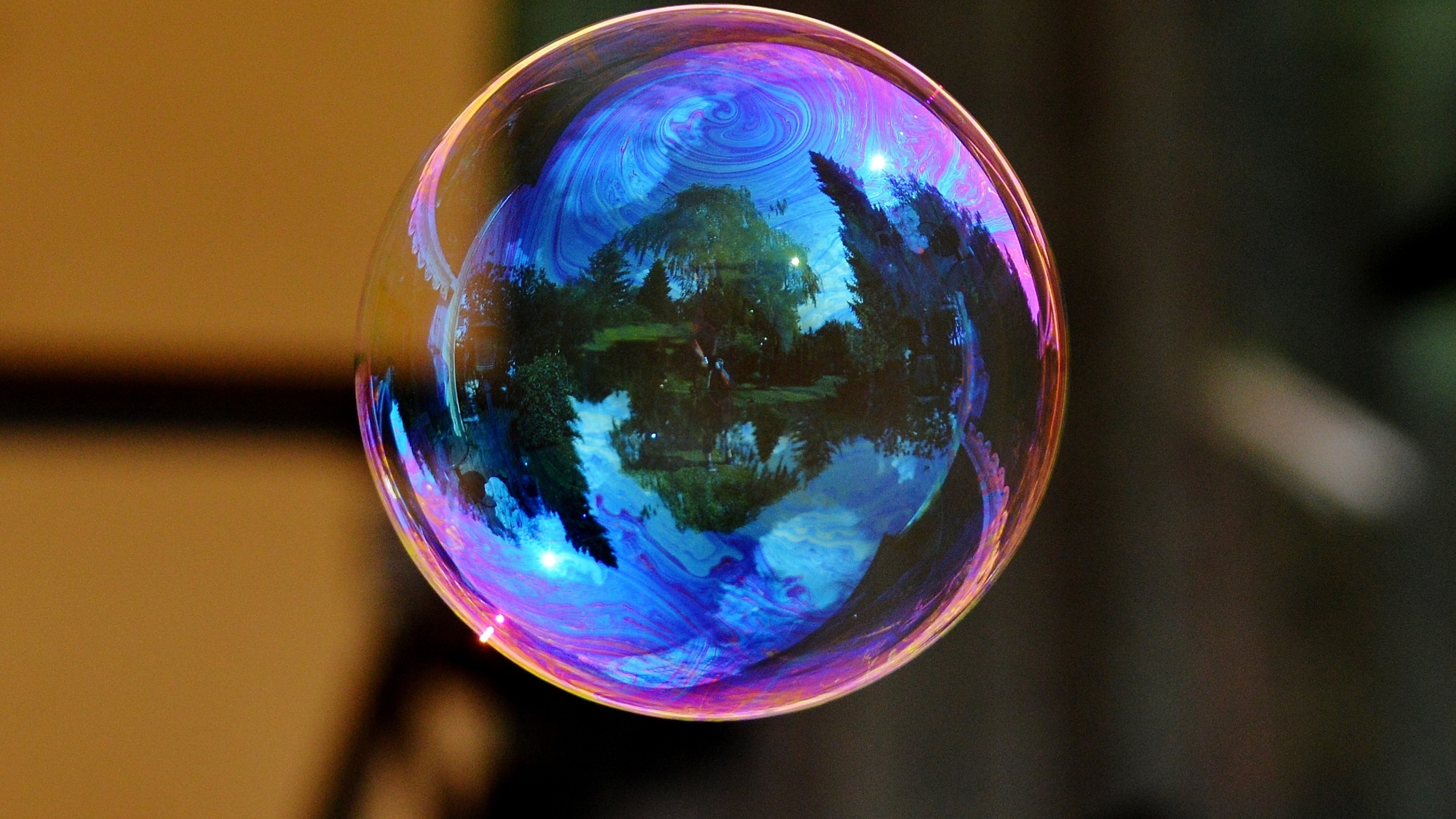 bubble, macro, photography, nature, HD Wallpaper