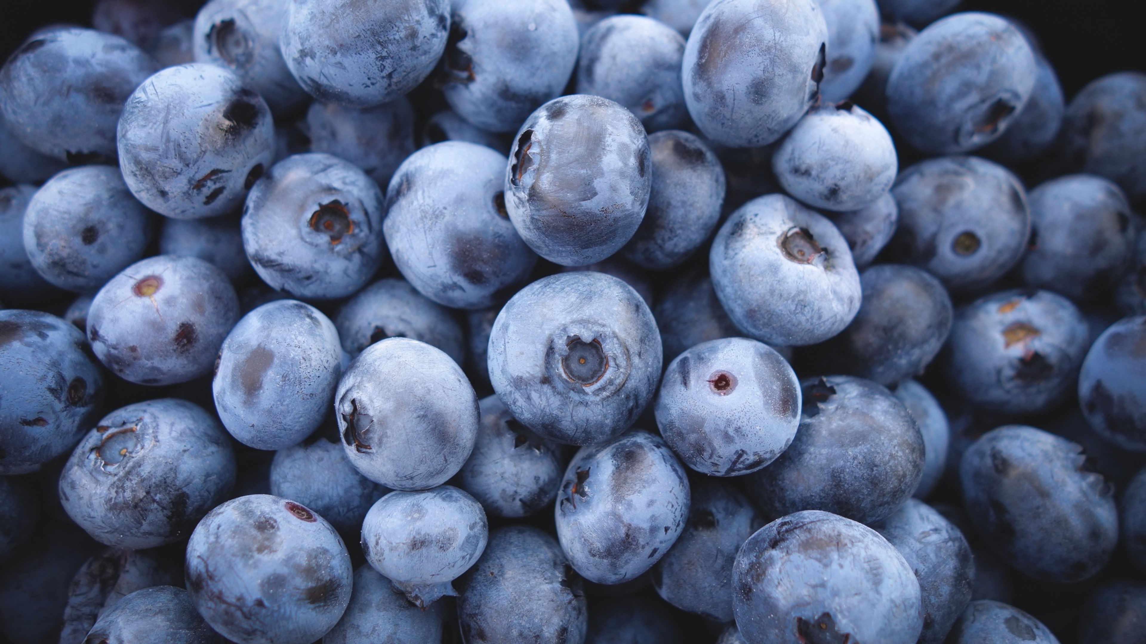blueberry, fruits, HD Wallpaper