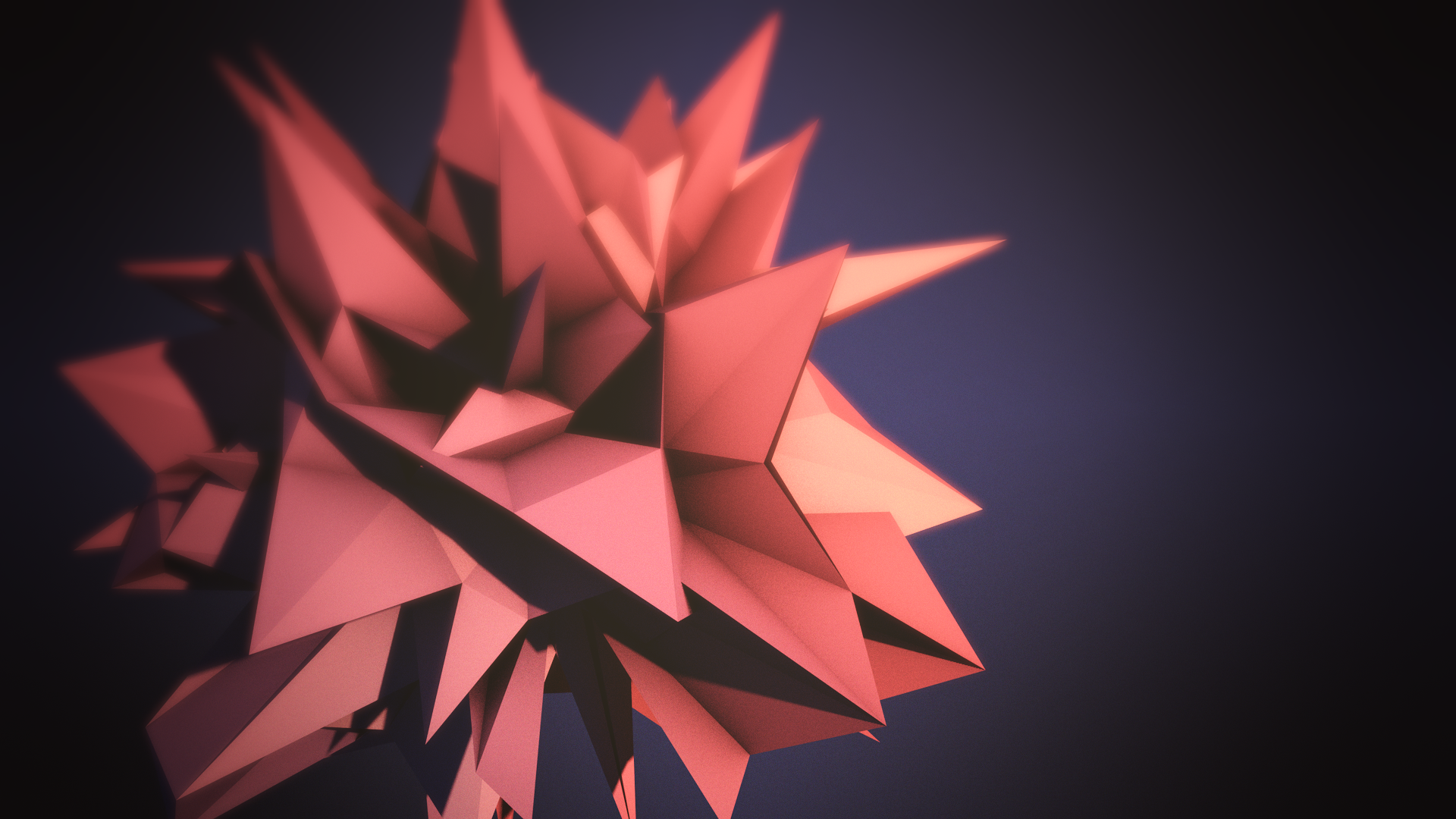 flowers, abstract, vector, HD Wallpaper