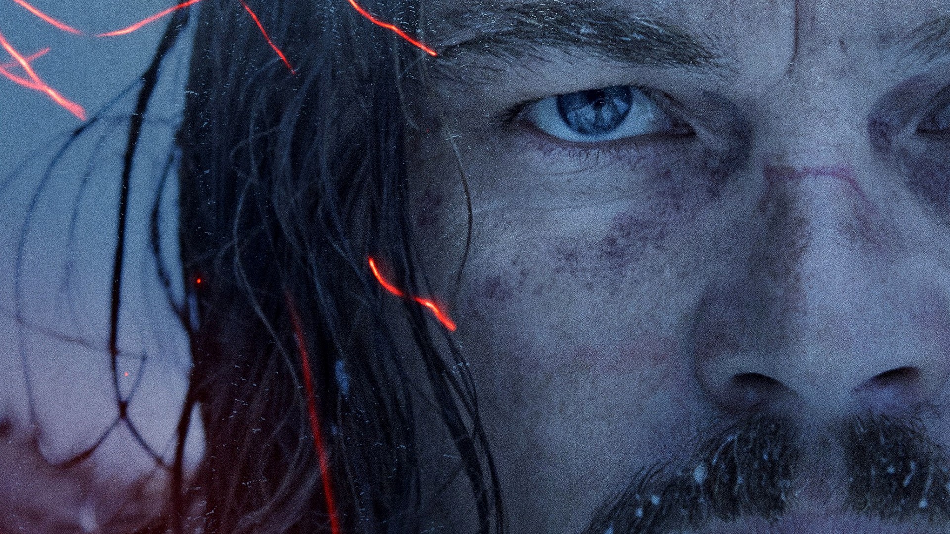the revenant, movies, 2016 movies, leonardo dicaprio, celebrities, male, male celebrities, HD Wallpaper