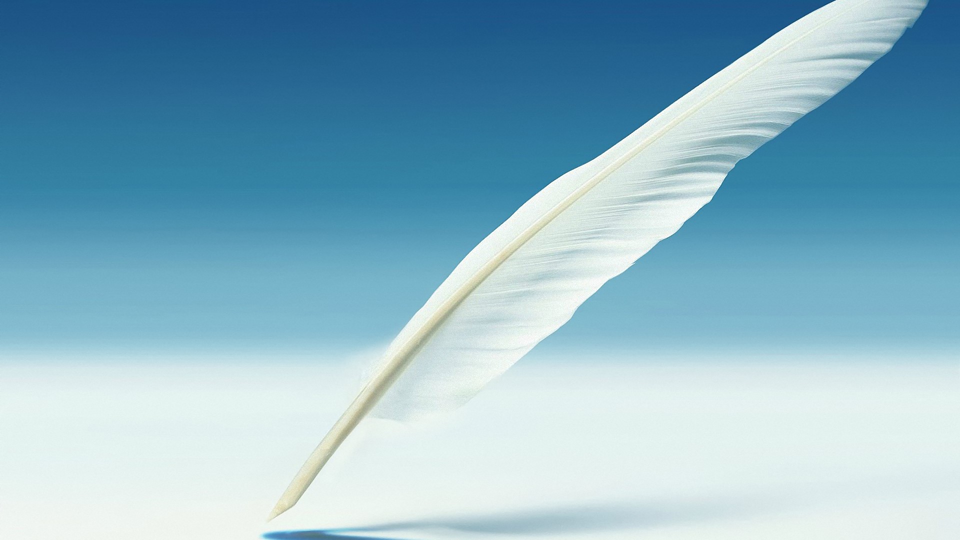 feather, pen, artist, HD Wallpaper