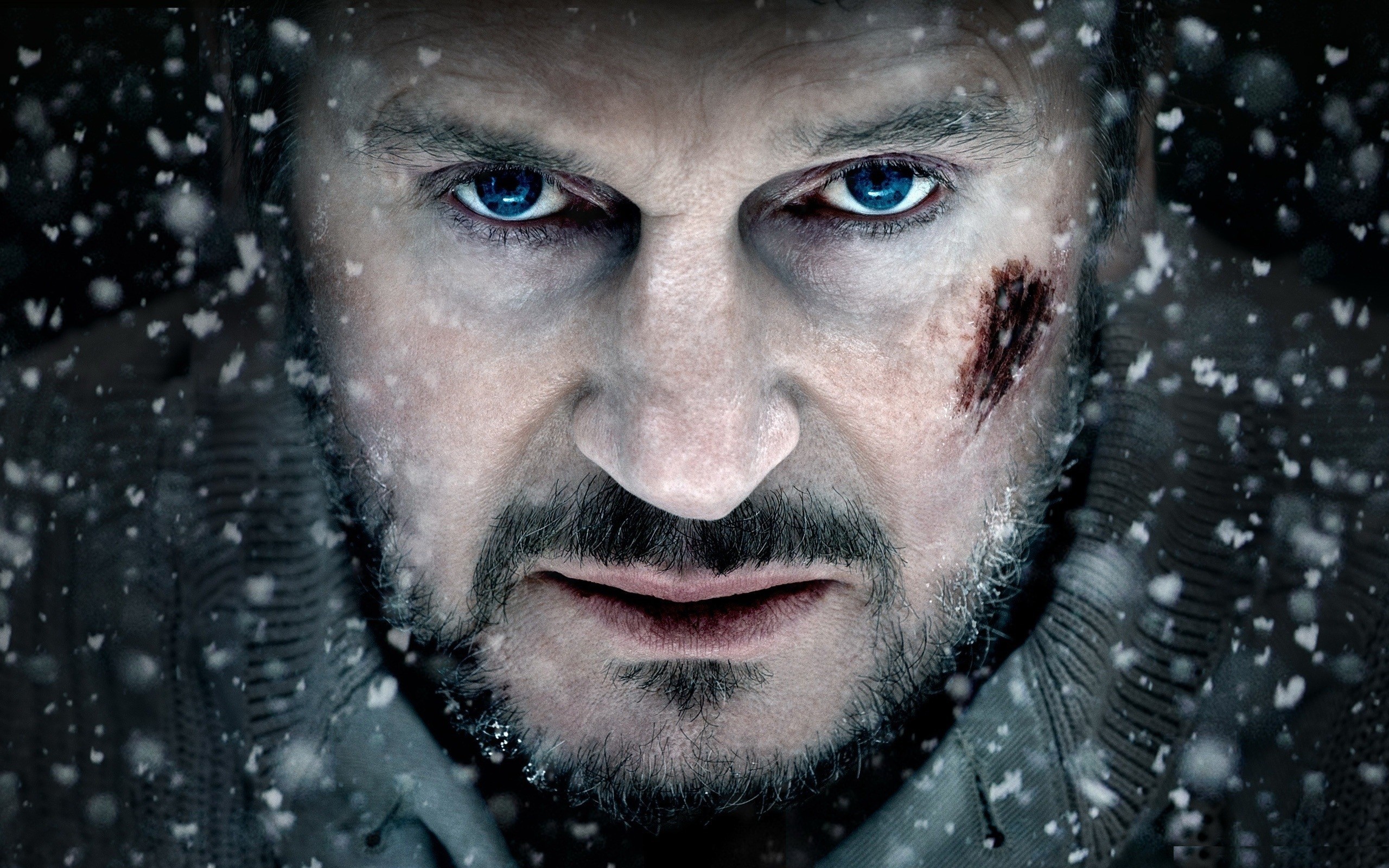 the grey, movies, HD Wallpaper