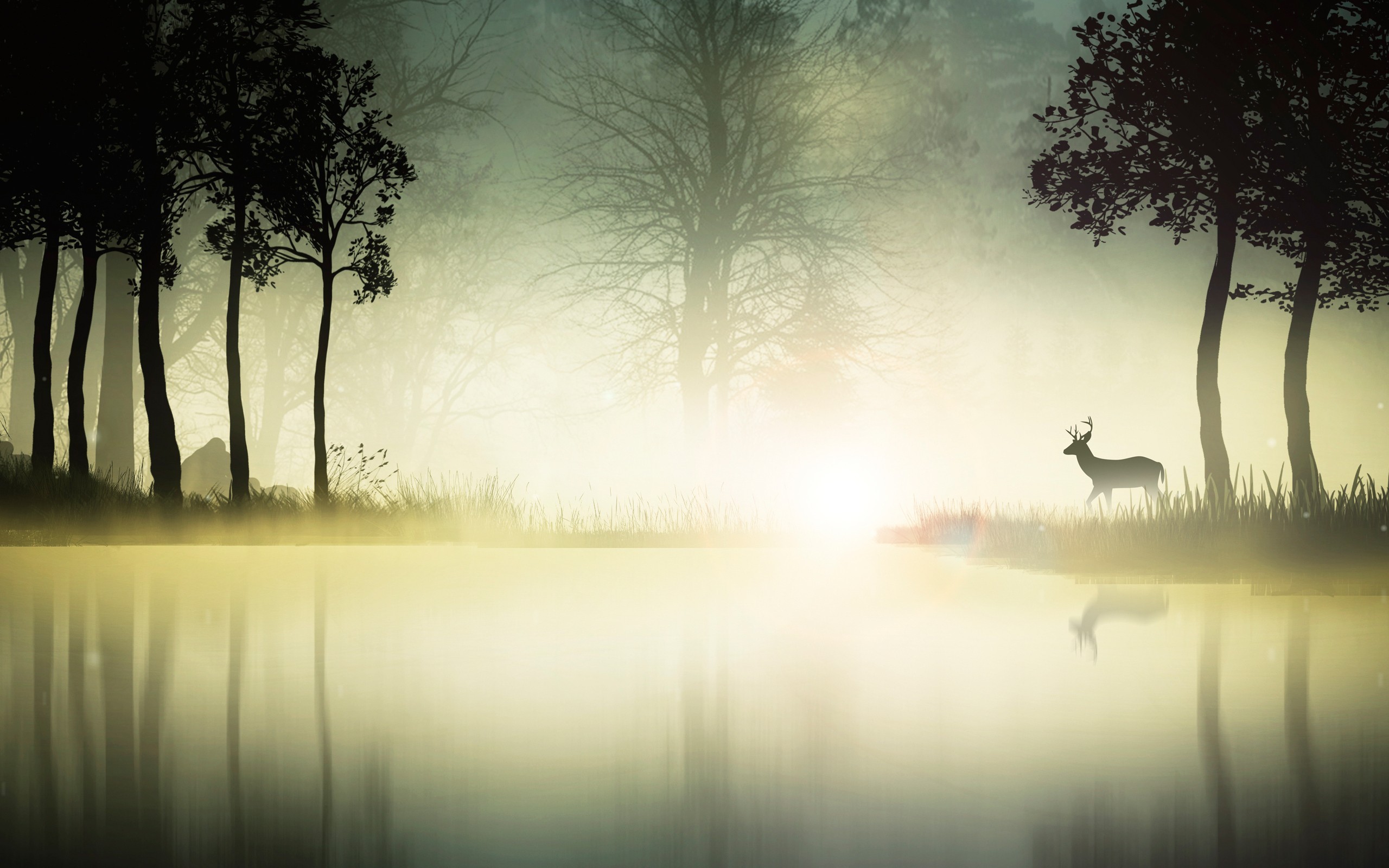 forest, nature, HD Wallpaper