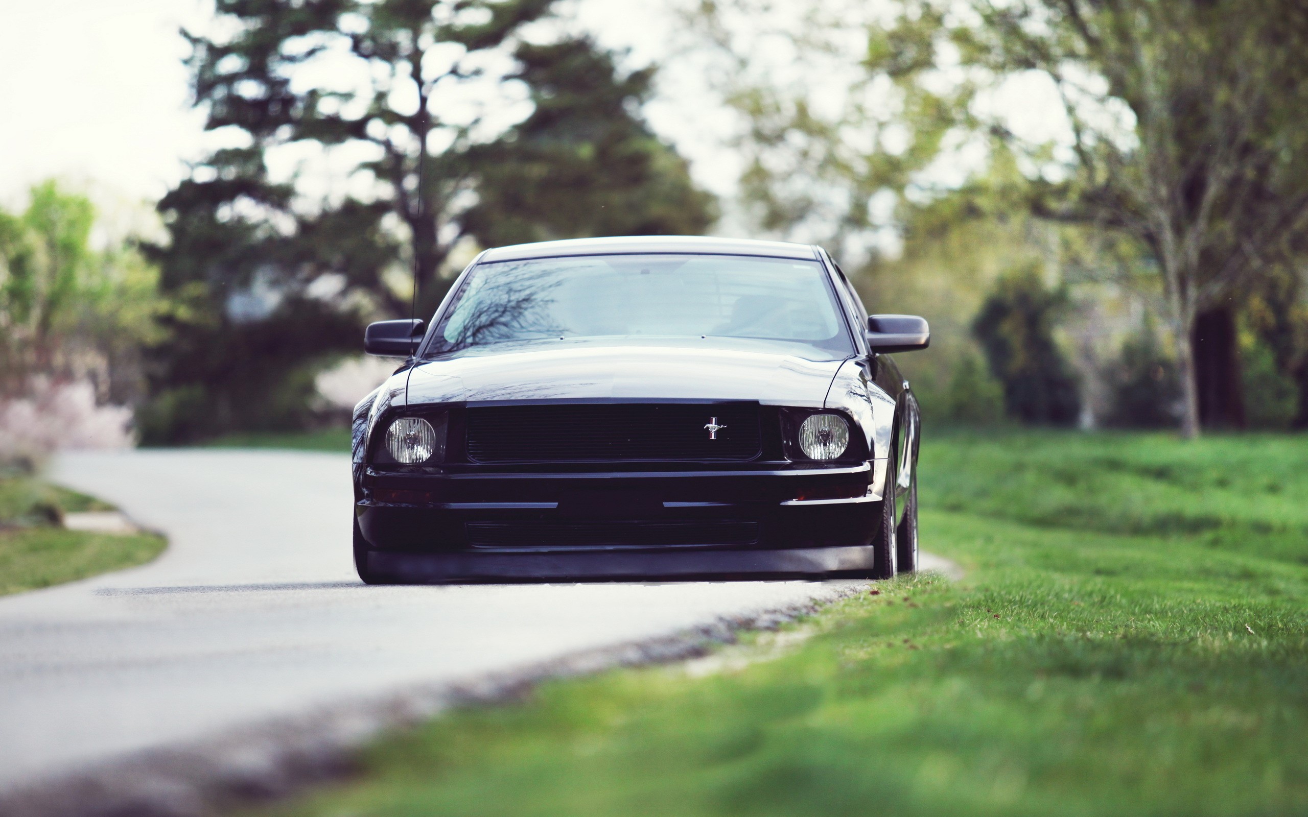 ford, mustang, cars, silver, HD Wallpaper