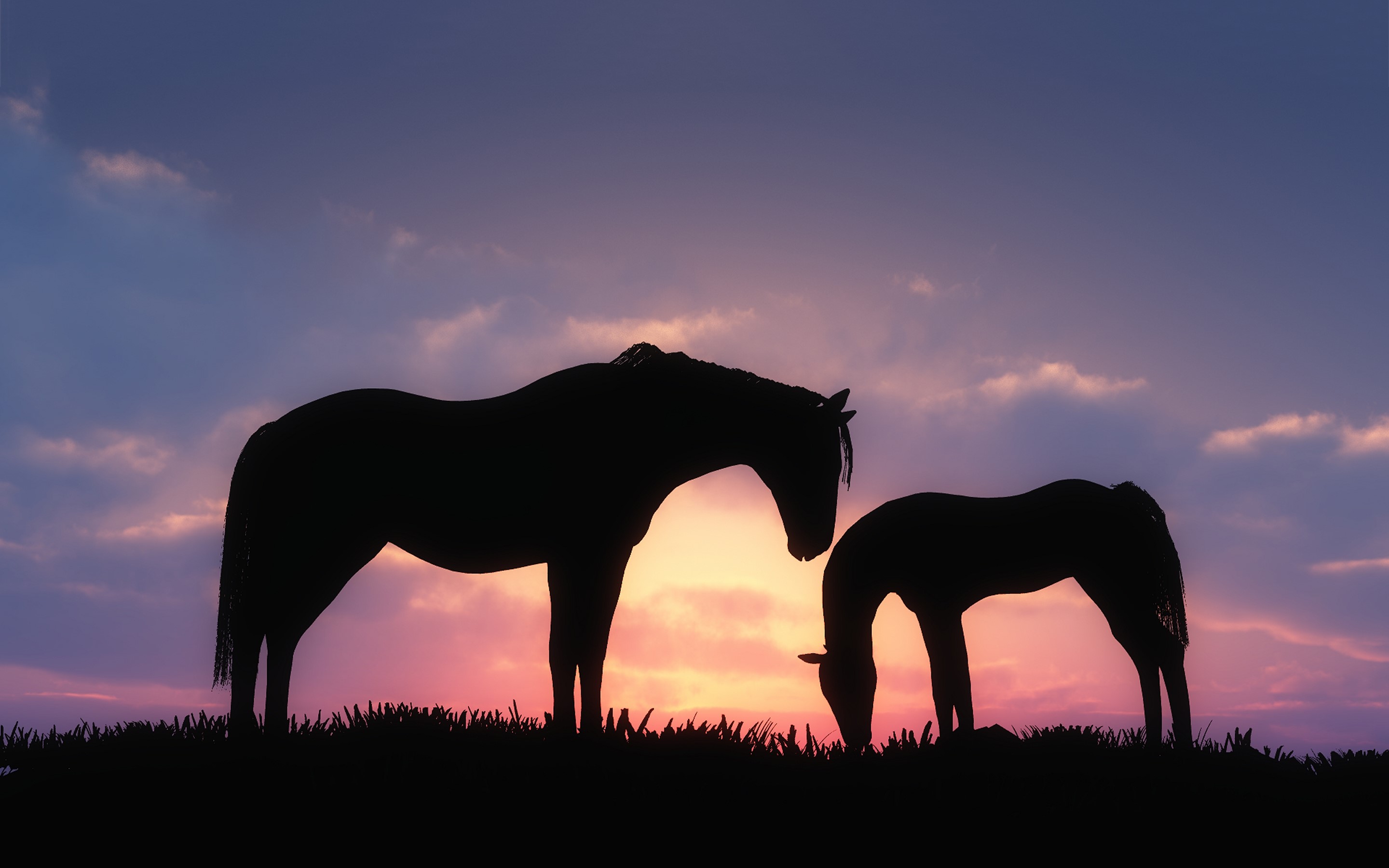 horse, animals, sunset, nature, HD Wallpaper