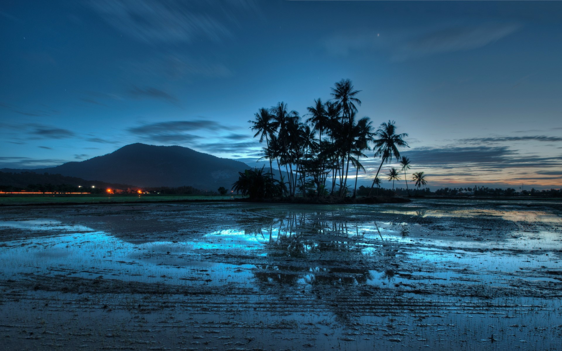 malaysia, sunset, palms, world, beautiful places, HD Wallpaper