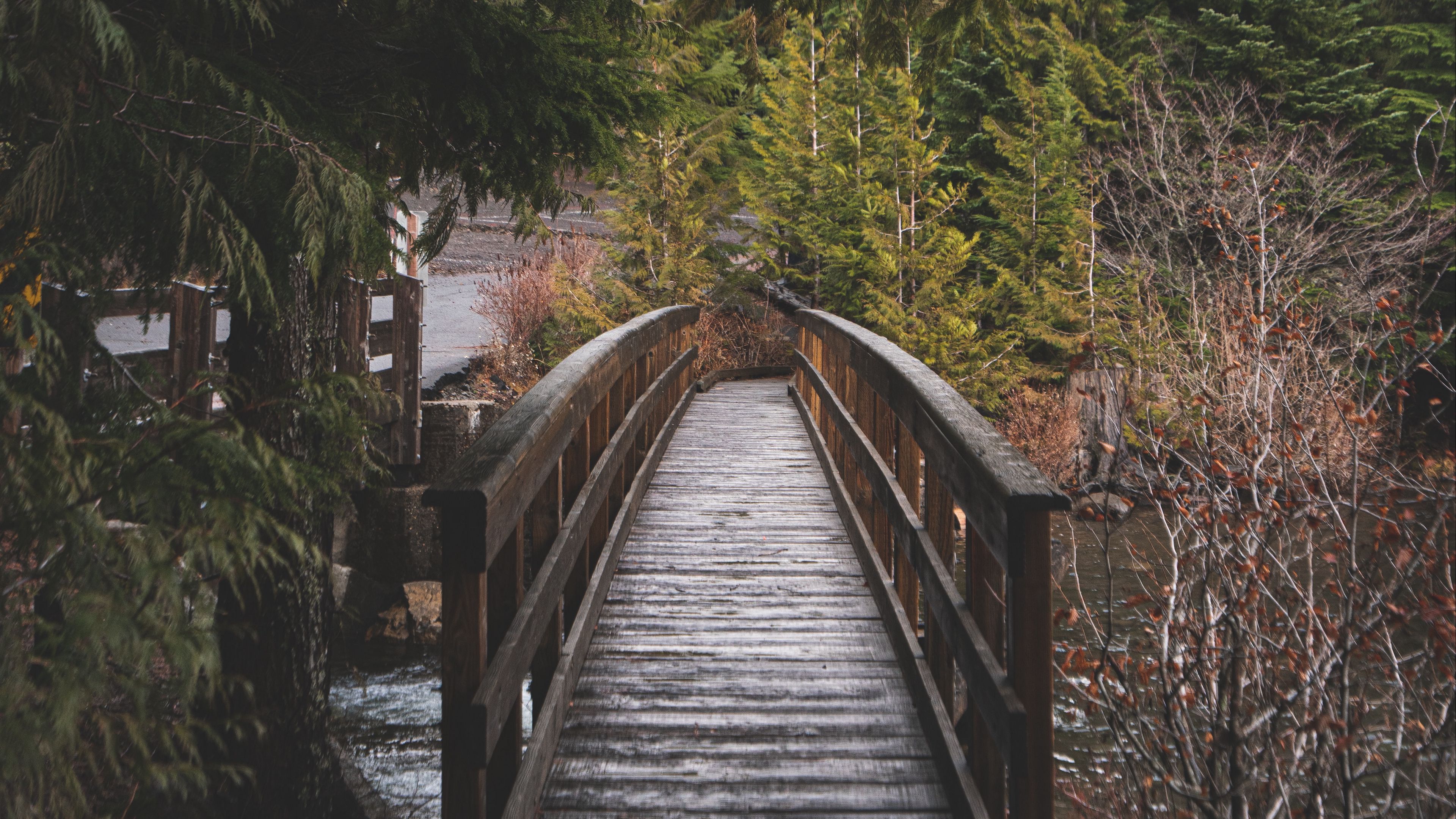 bridge, wooden, river, trees, nature, 4k, HD Wallpaper