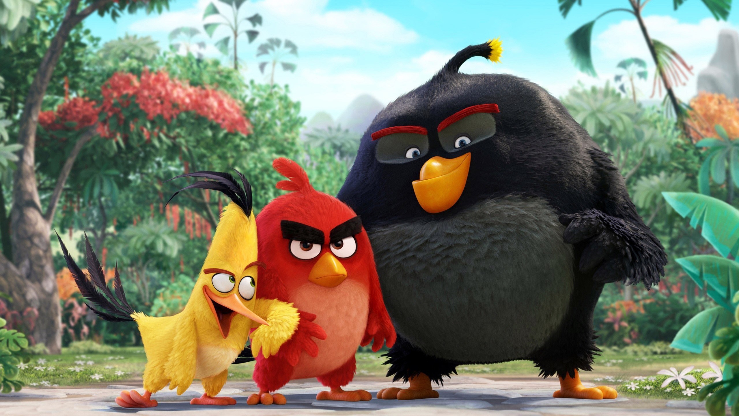 angry birds, birds, movies, the angry birds movie, HD Wallpaper