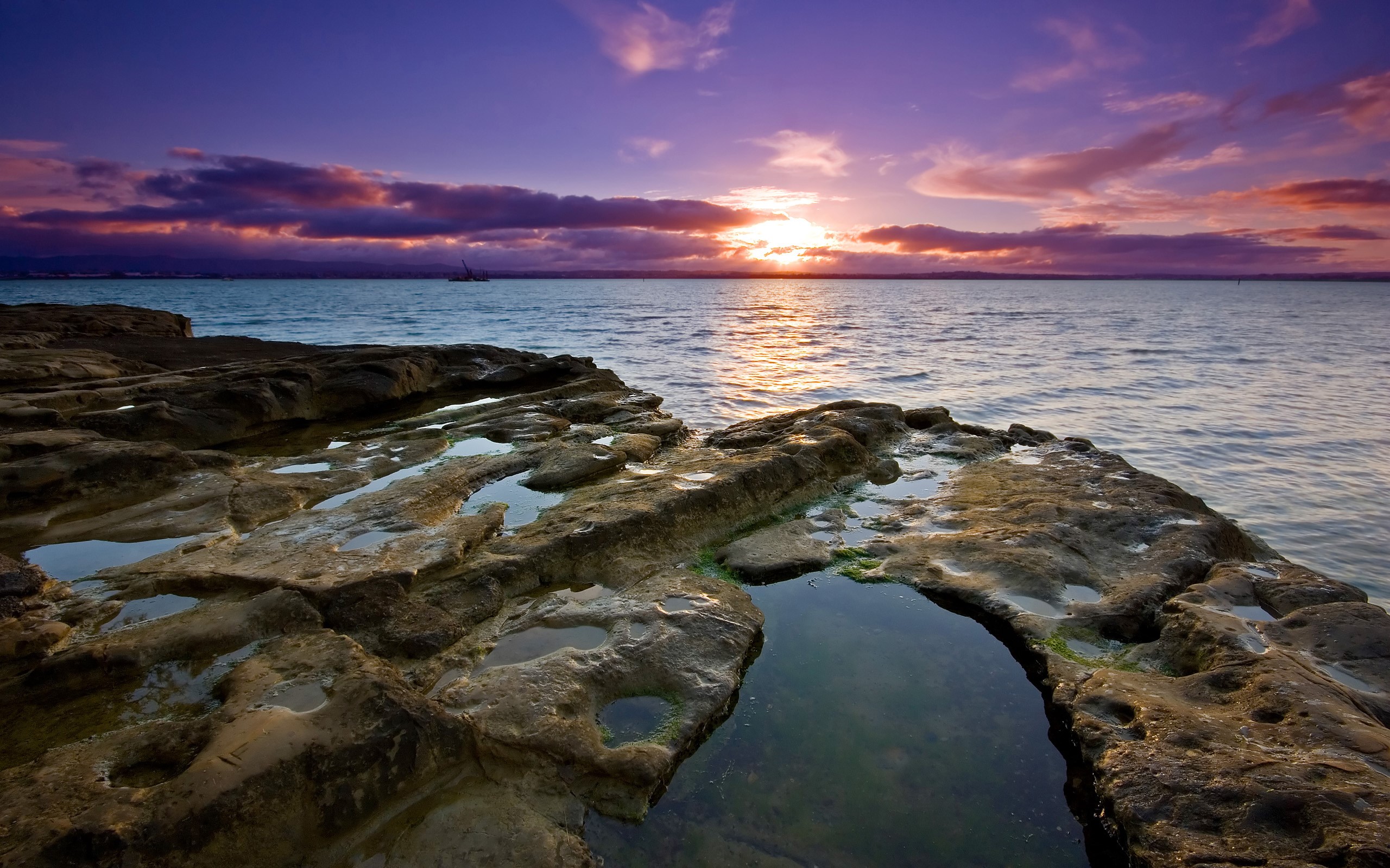 sunset, nature, auckland, photography, HD Wallpaper