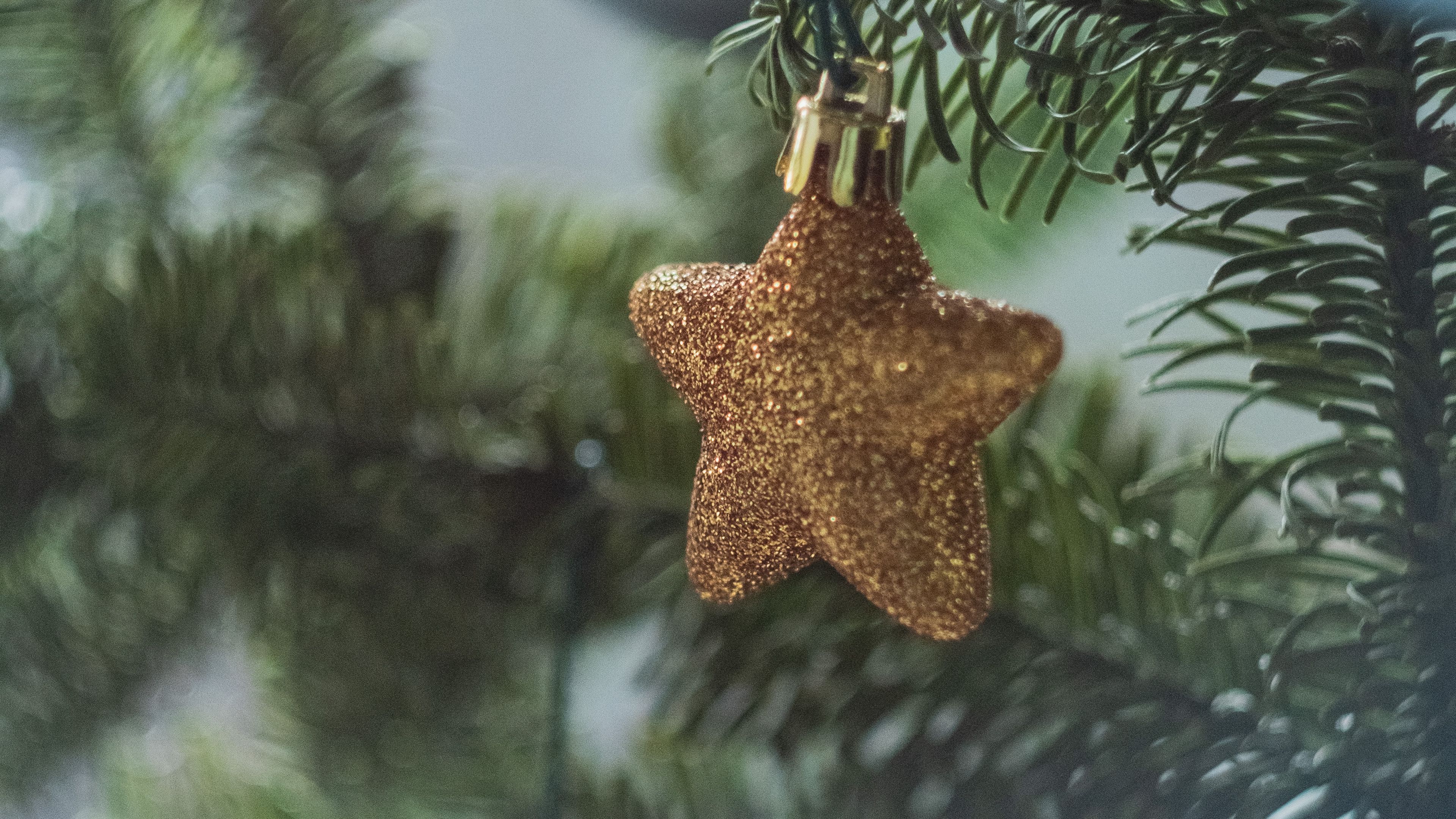 tree, star, decoration, new year, christmas, 4k, HD Wallpaper