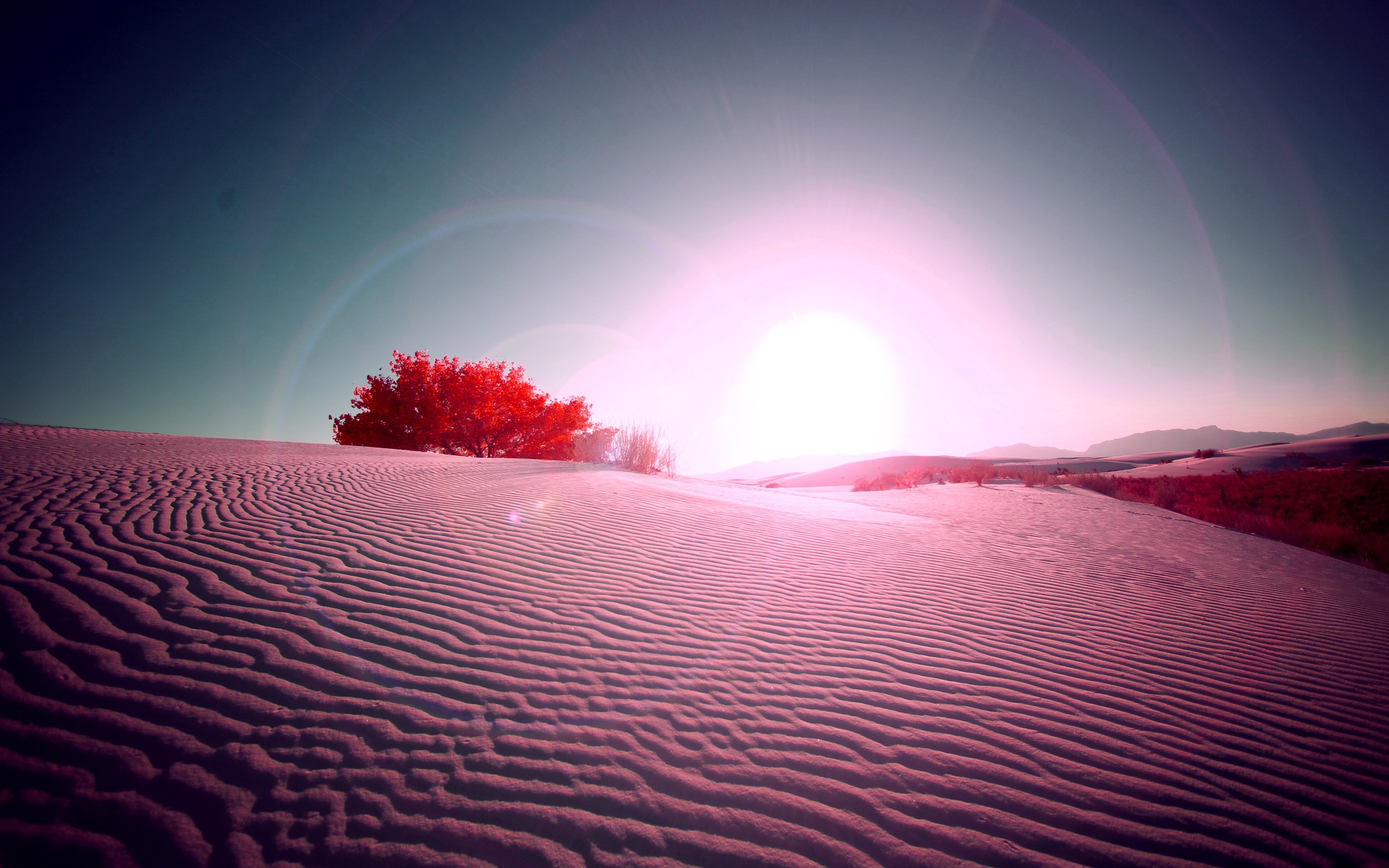 desert, nature, HD Wallpaper