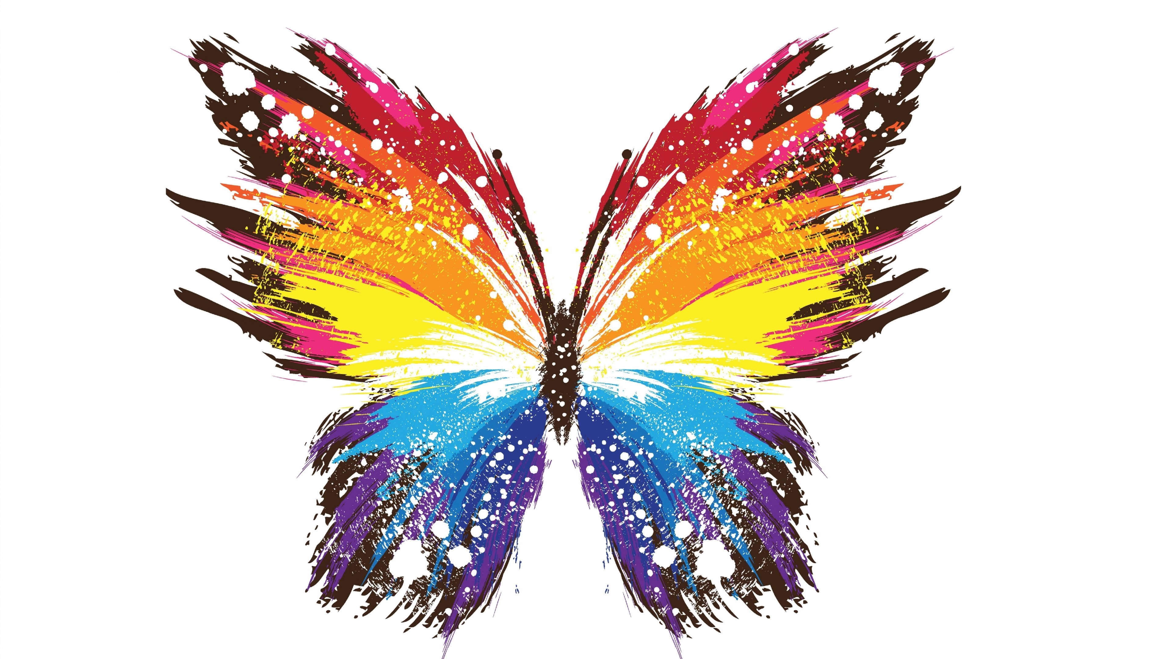 colorful, creative, abstract, butterfly, HD Wallpaper