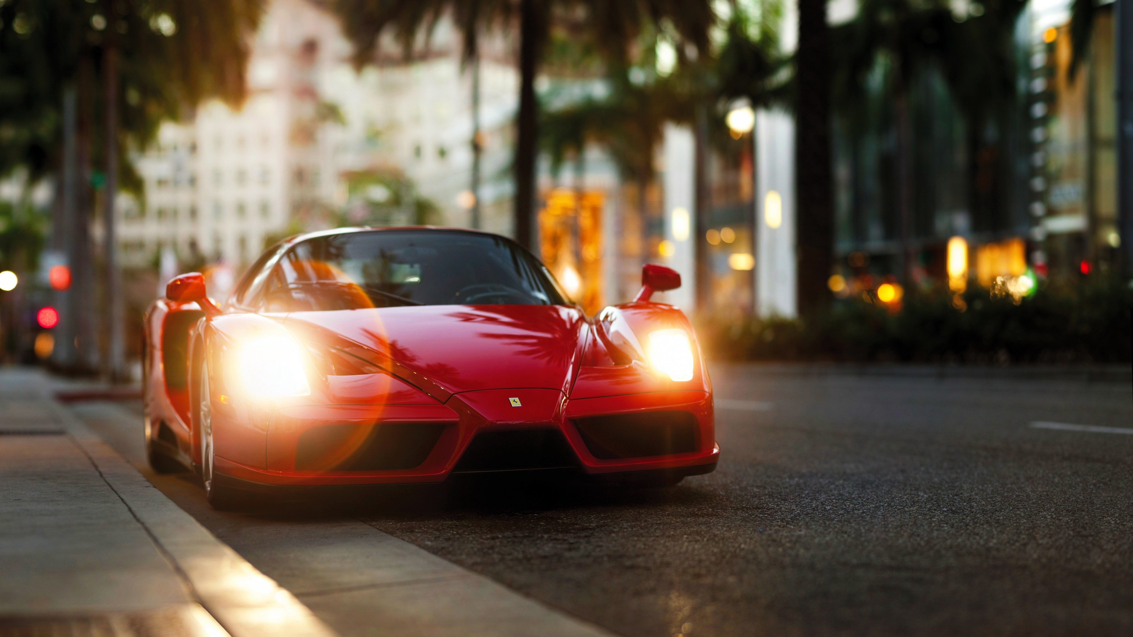 ferrari, ferrari enzo, red, cars, racing, HD Wallpaper