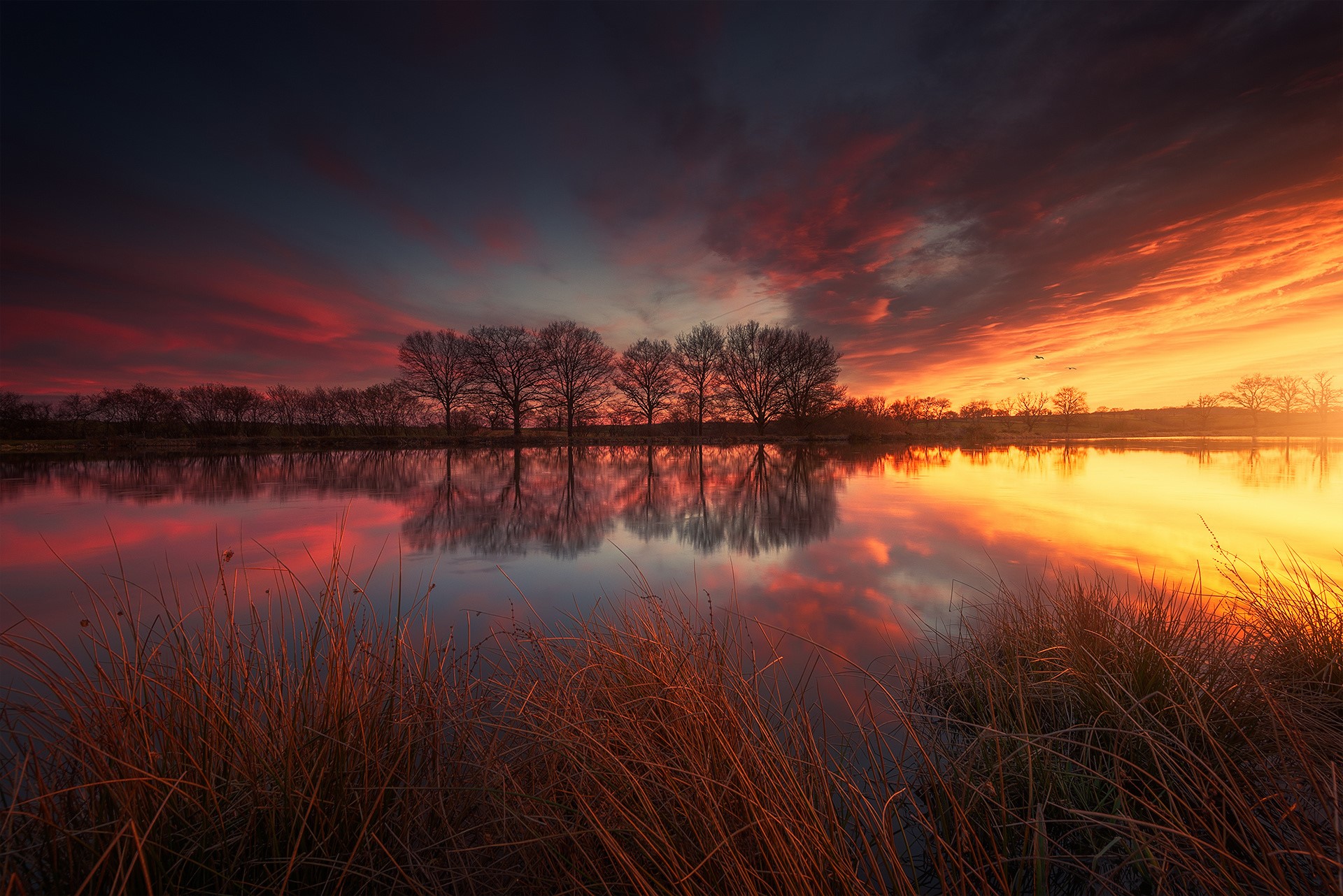 grass, france, spring, lake, nature, HD Wallpaper