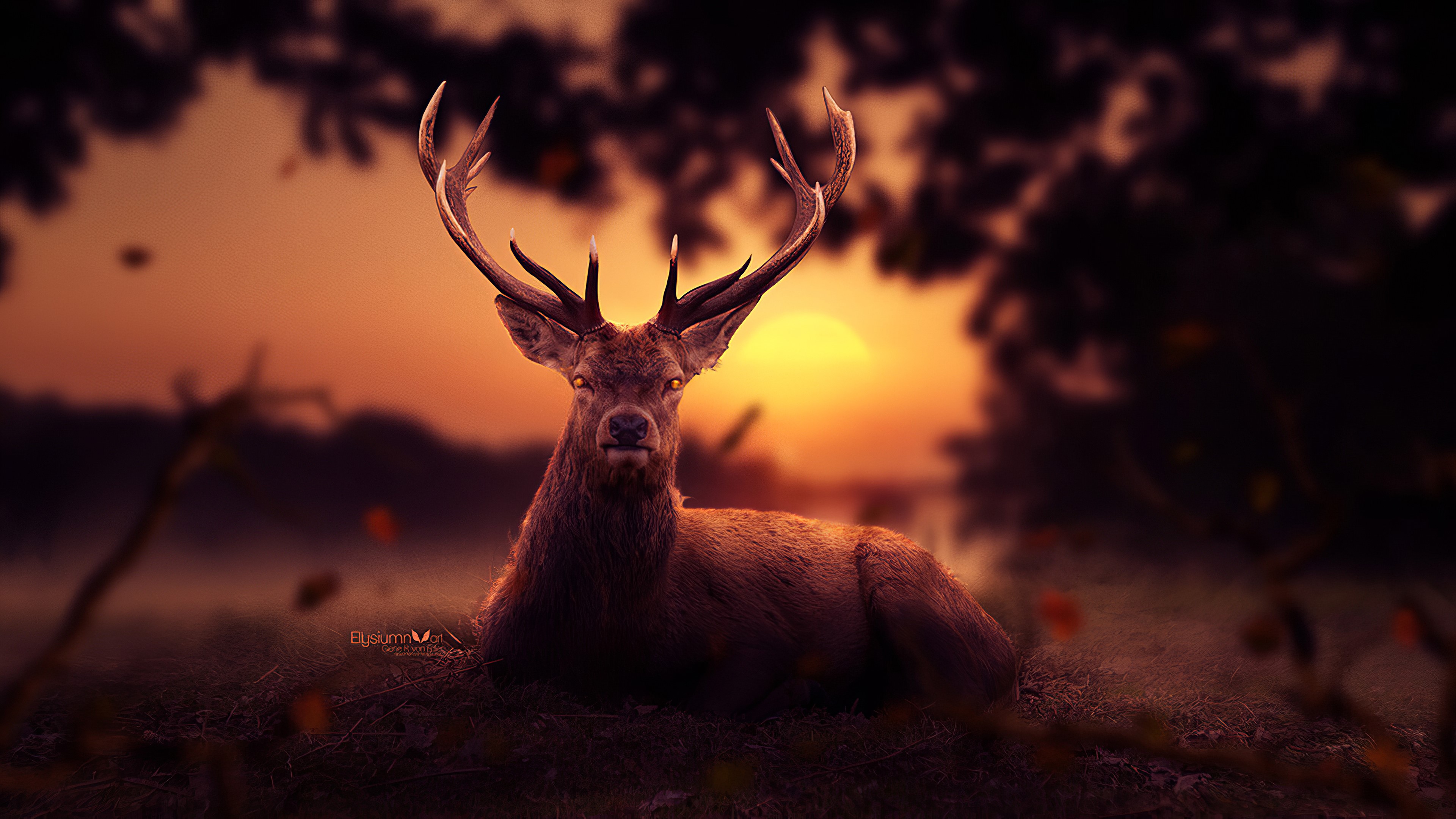 reindeer, artist, artwork, digital art, hd, 4k, artstation, HD Wallpaper
