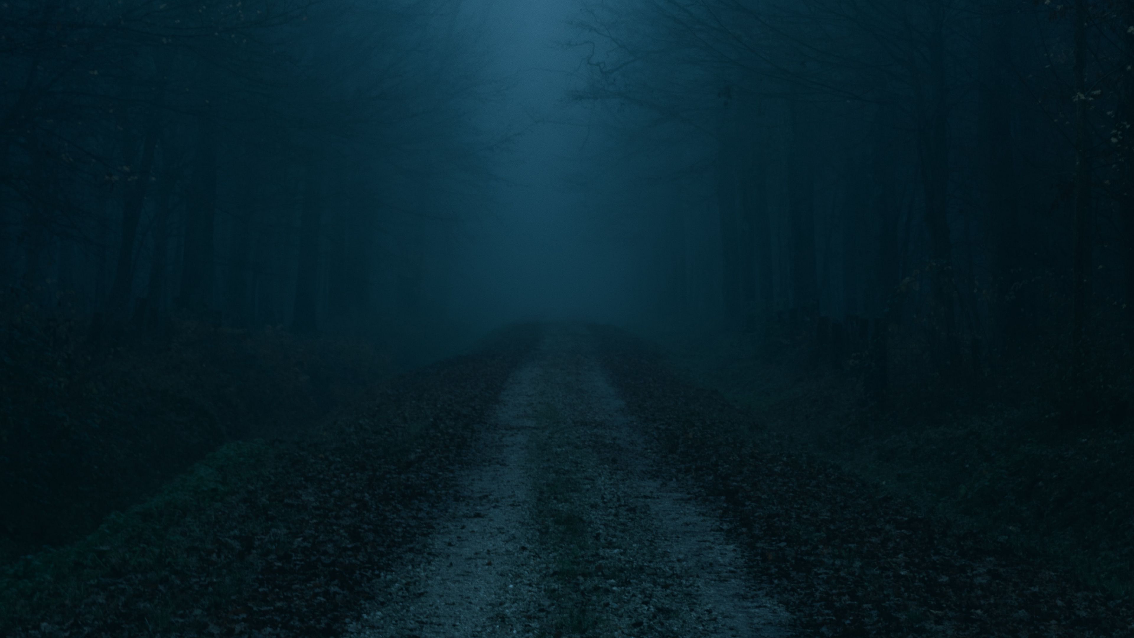 fog, road, forest, trees, autumn, 4k, HD Wallpaper
