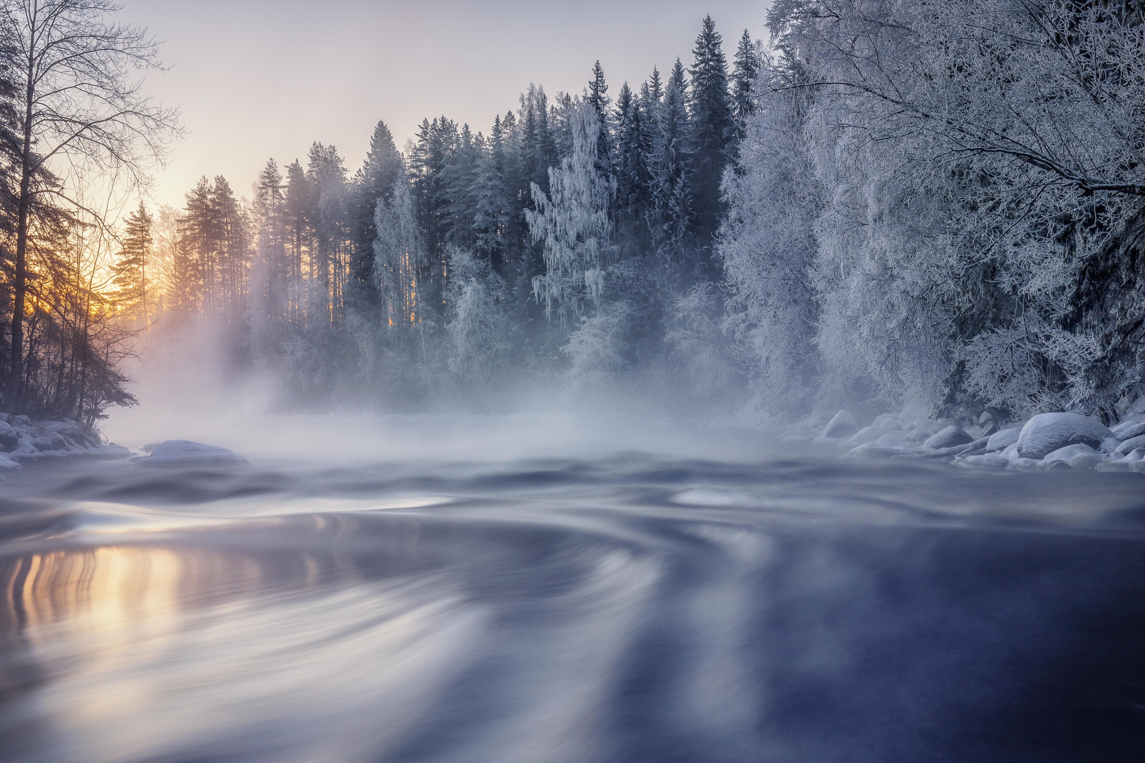 winter, nature, hd, 4k, 5k, HD Wallpaper