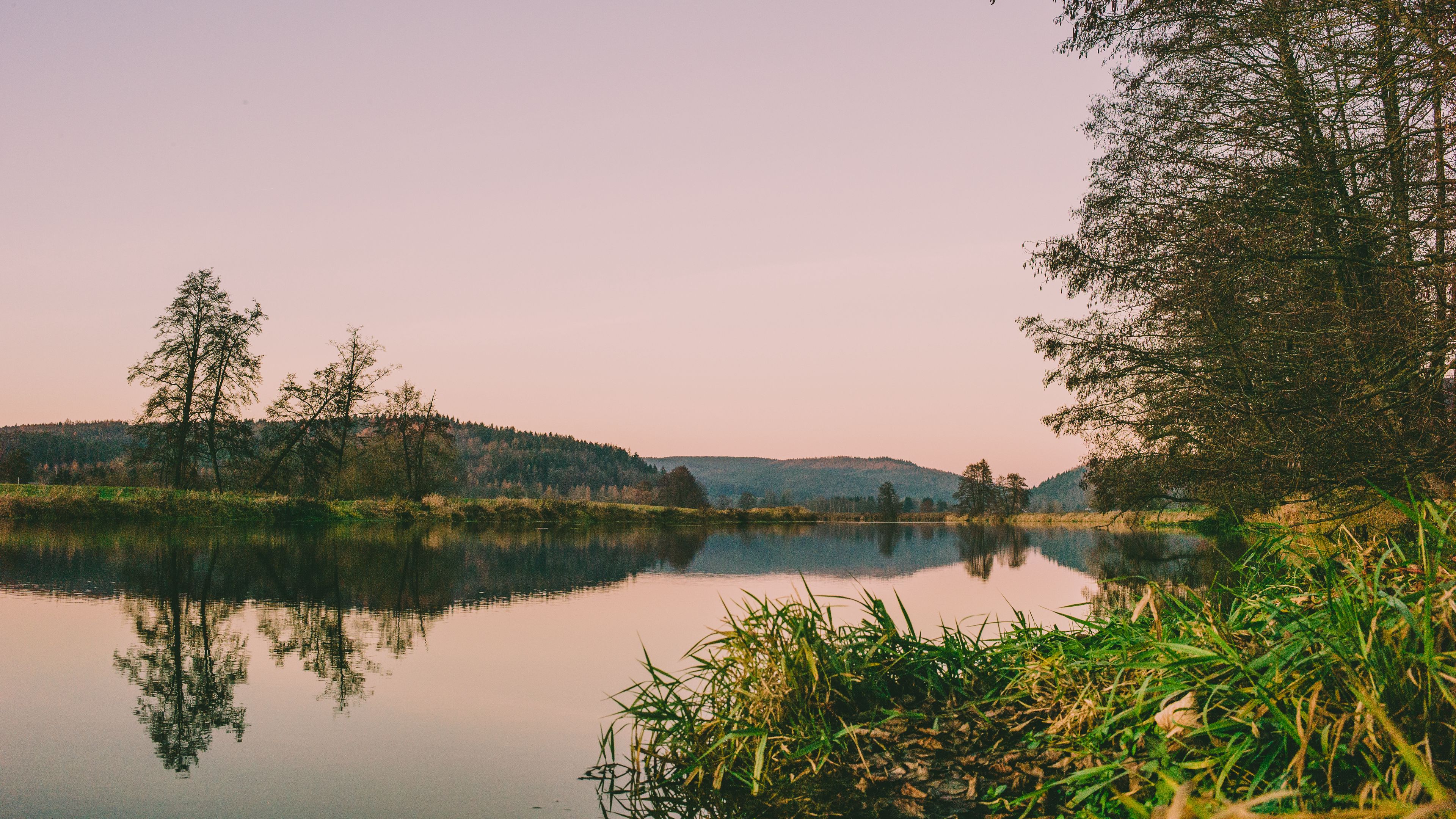 river, shore, water, trees, grass, 4k, HD Wallpaper