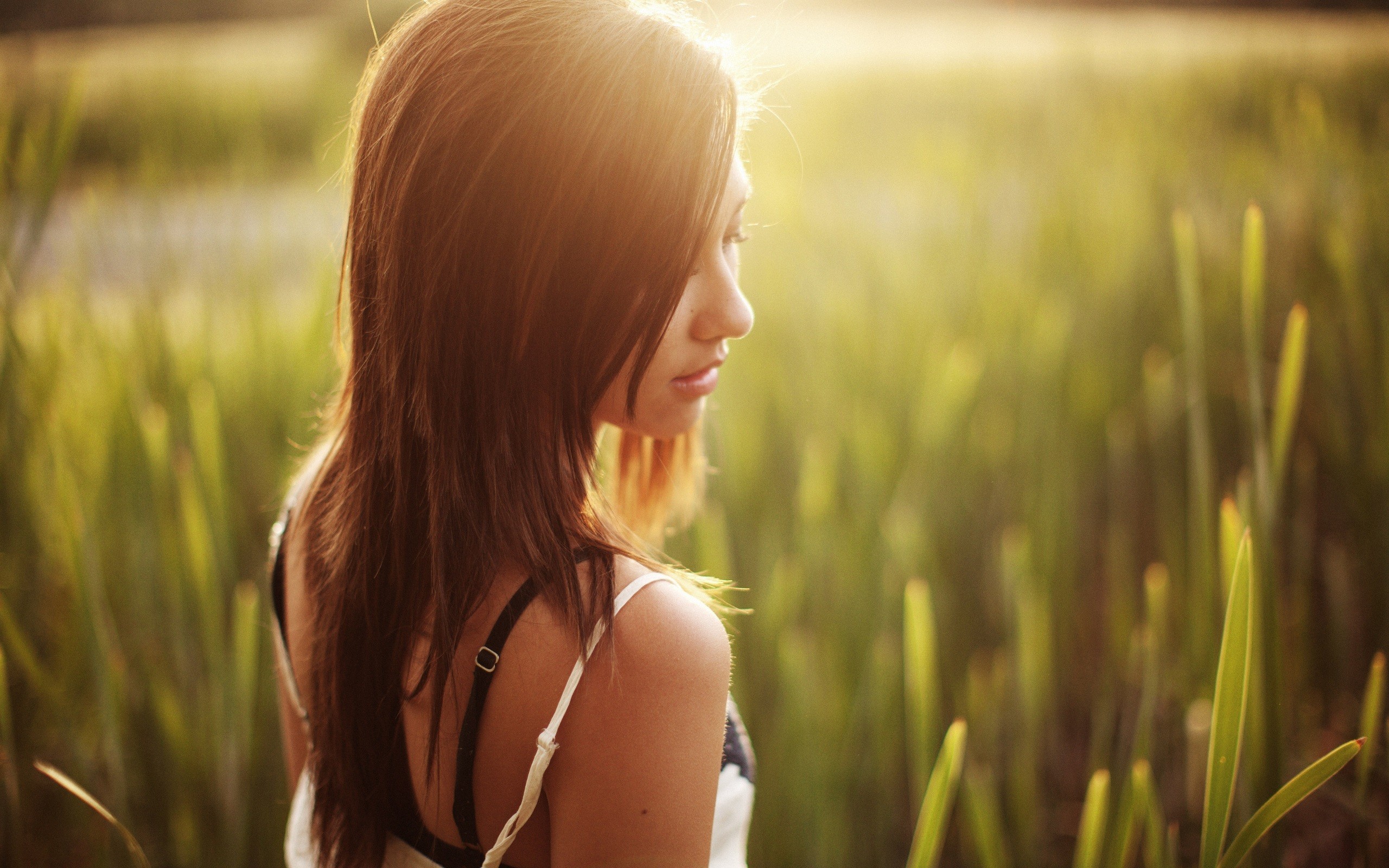 girls, model, hd, field, HD Wallpaper