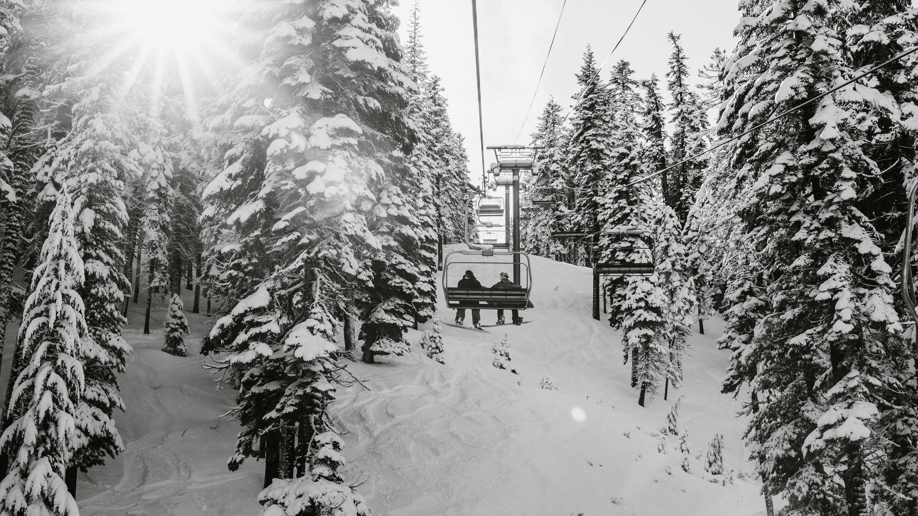 slope, trees, snow, cableway, people, winter, 4k, HD Wallpaper