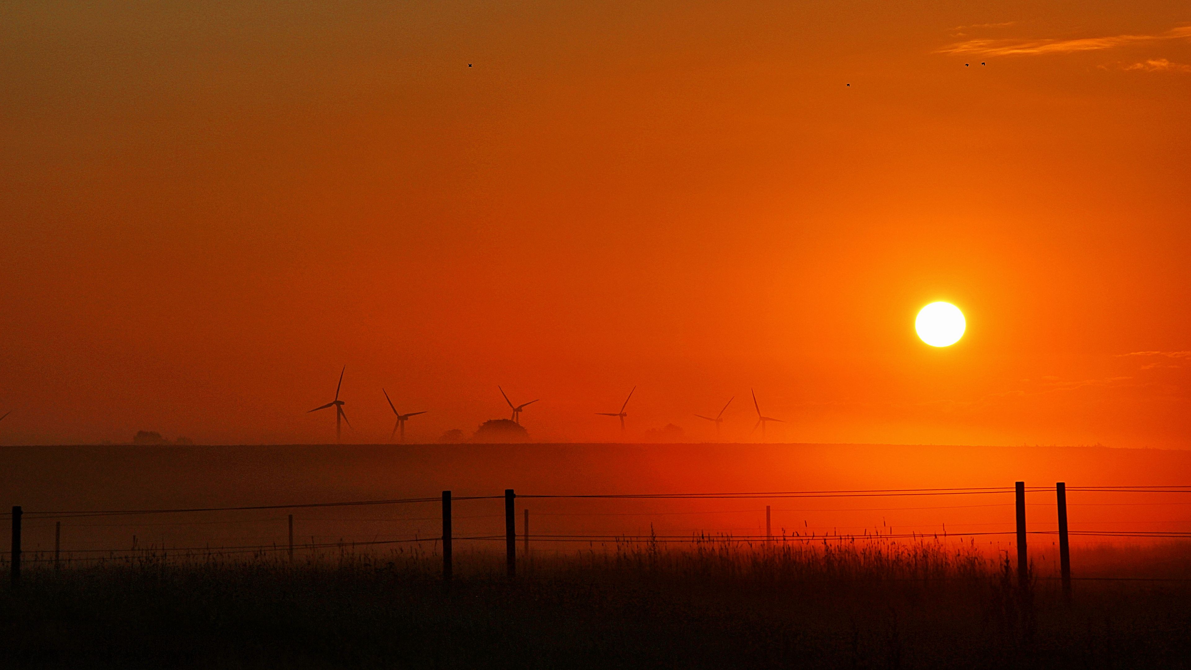 sunset, sun, dusk, field, landscape, 4k, HD Wallpaper