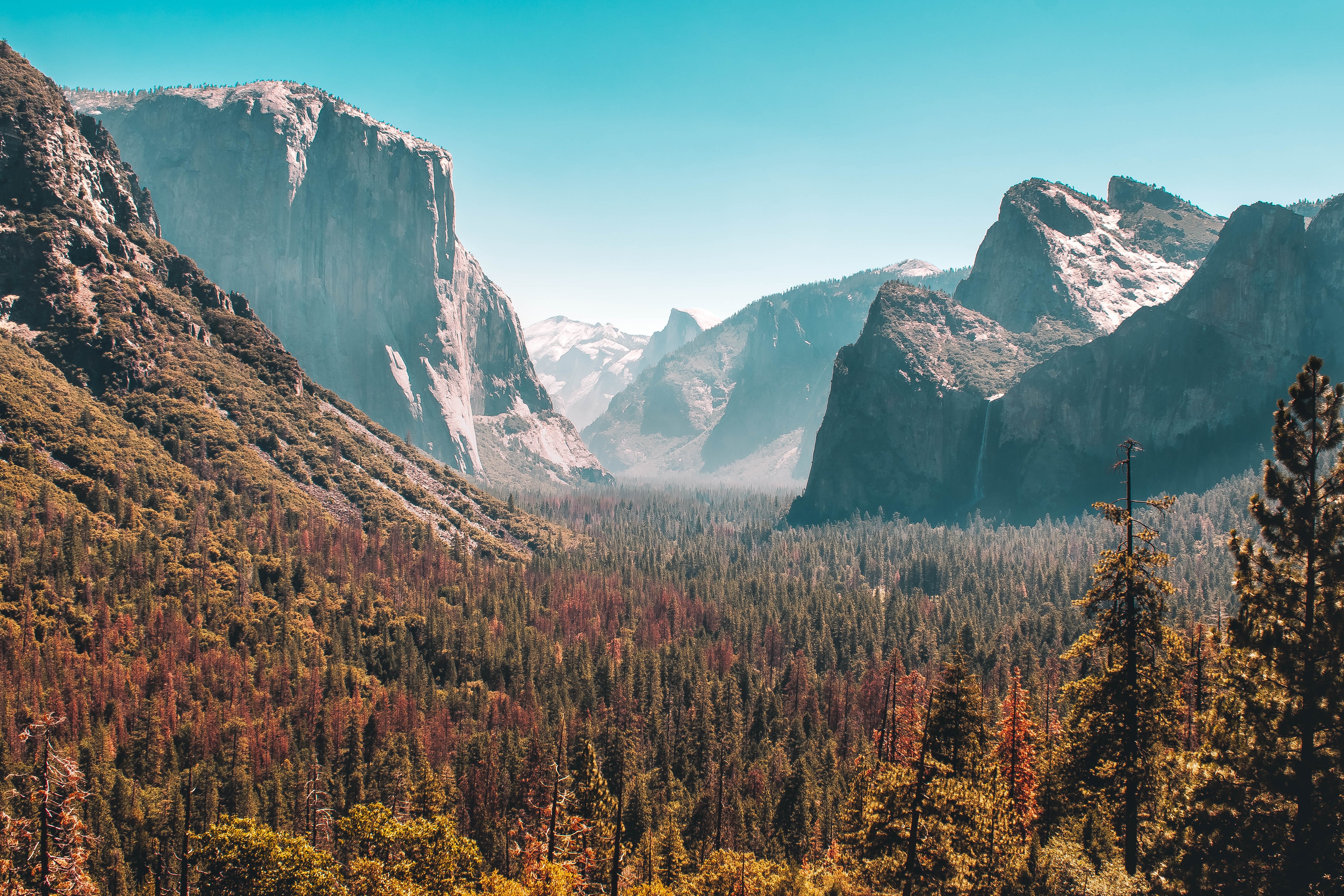 mountains, forest, nature, hd, 4k, 5k, HD Wallpaper