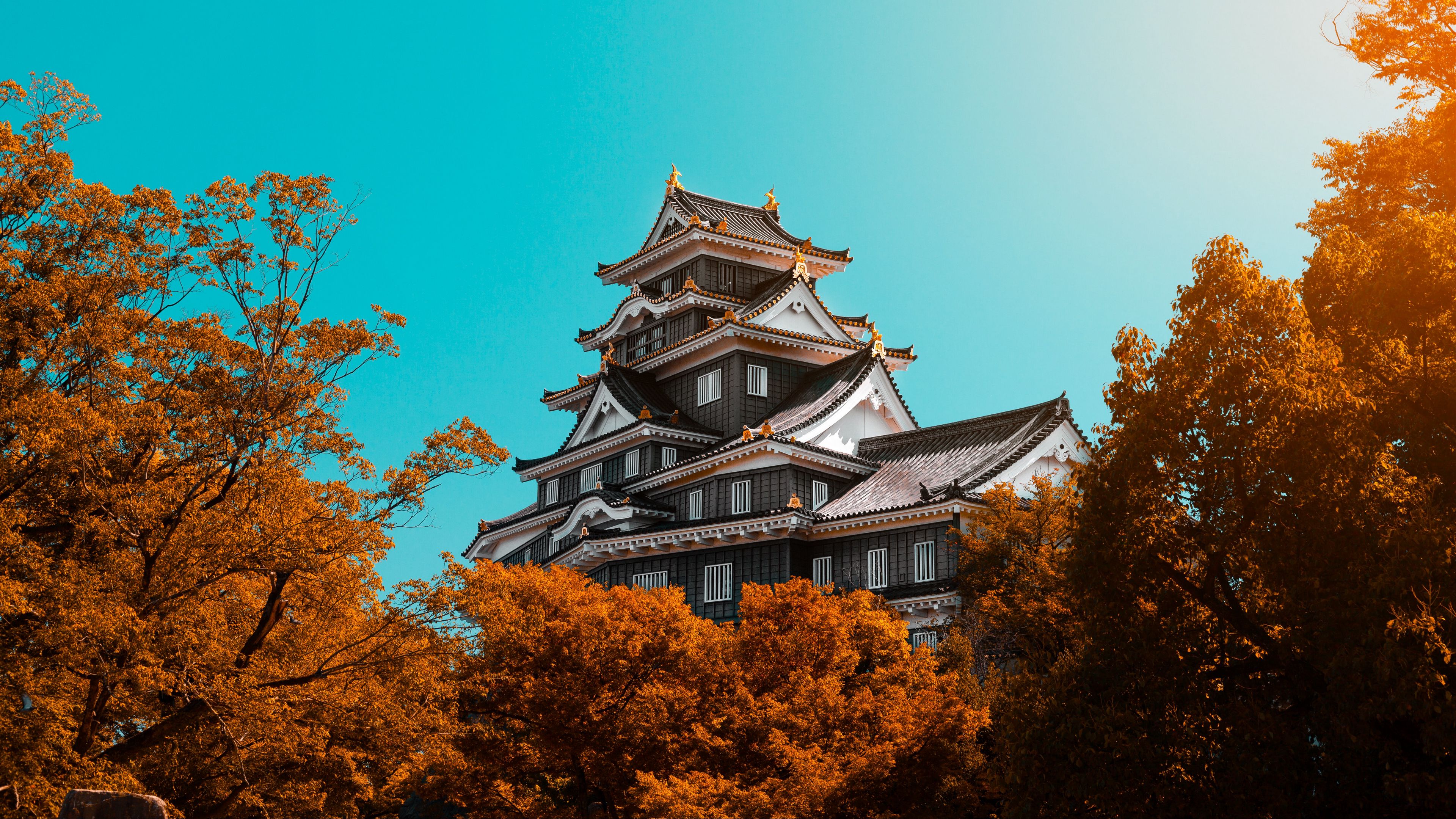 pagoda, building, architecture, trees, autumn, 4k, HD Wallpaper