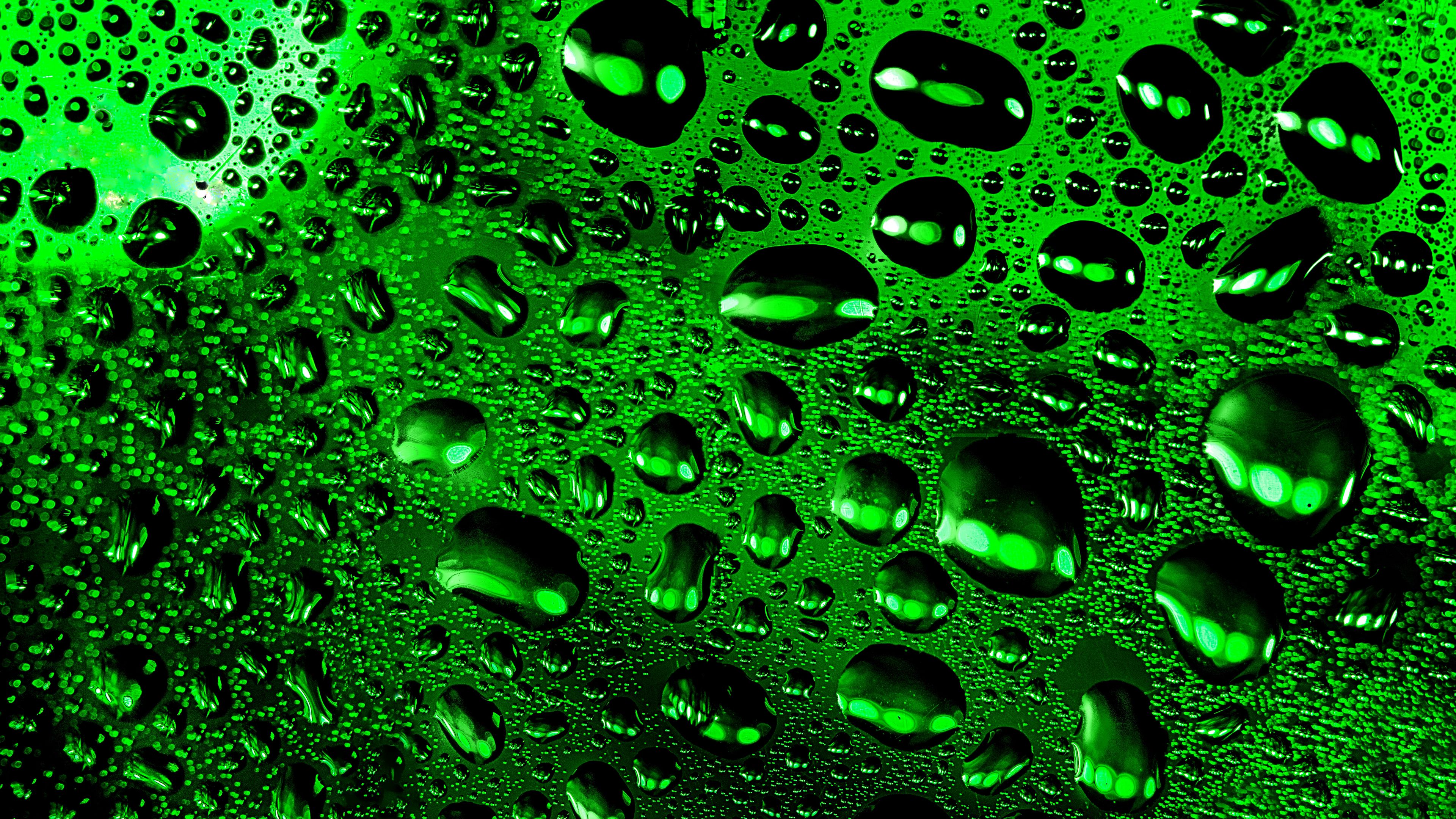 drops, macro, wet, surface, green, 4k, HD Wallpaper