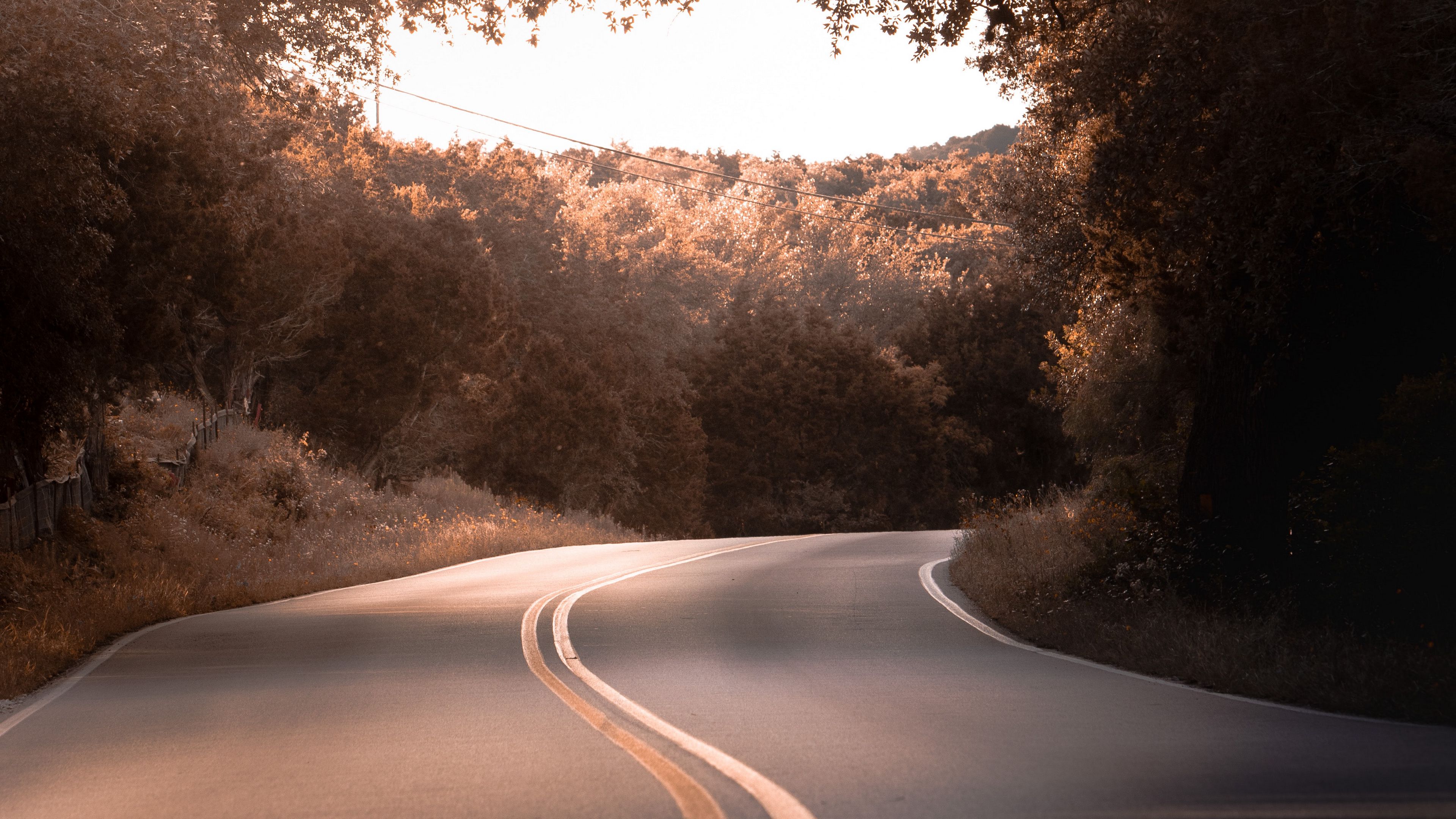 road, marking, trees, bushes, 4k, HD Wallpaper