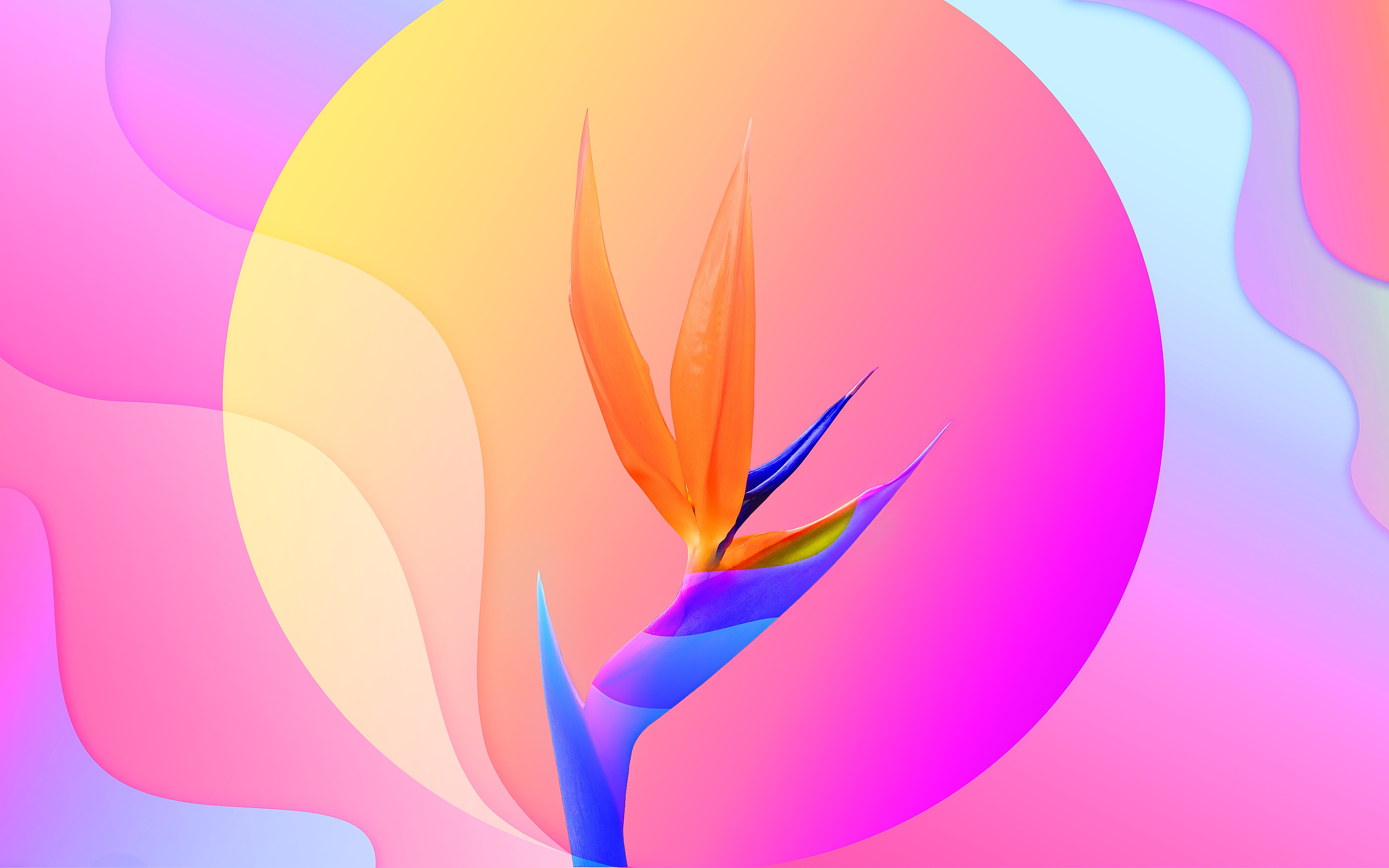 artist, artwork, digital art, hd, 4k, behance, HD Wallpaper