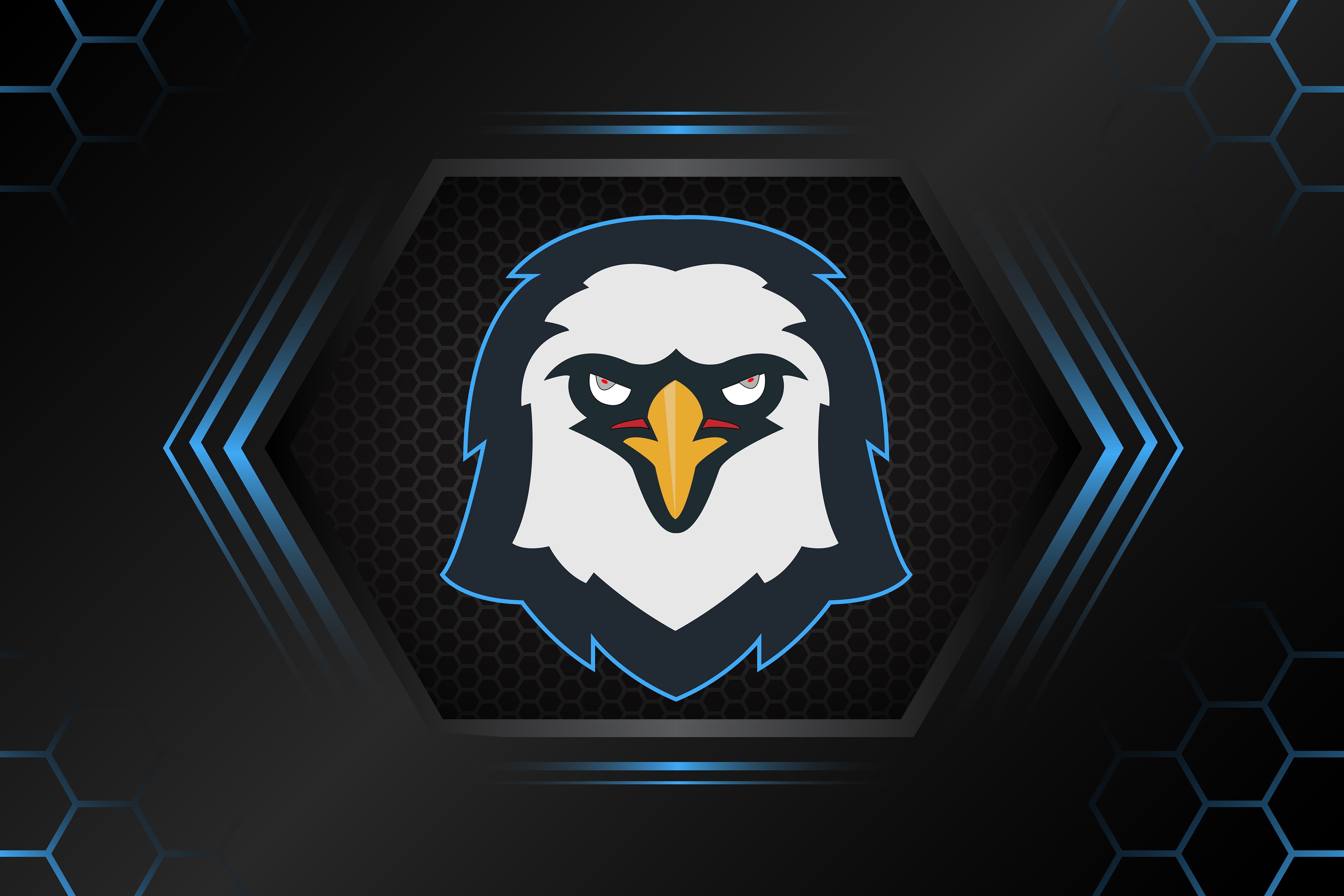eagle, minimalism, minimalist, artist, artwork, digital art, hd, 4k, behance, HD Wallpaper