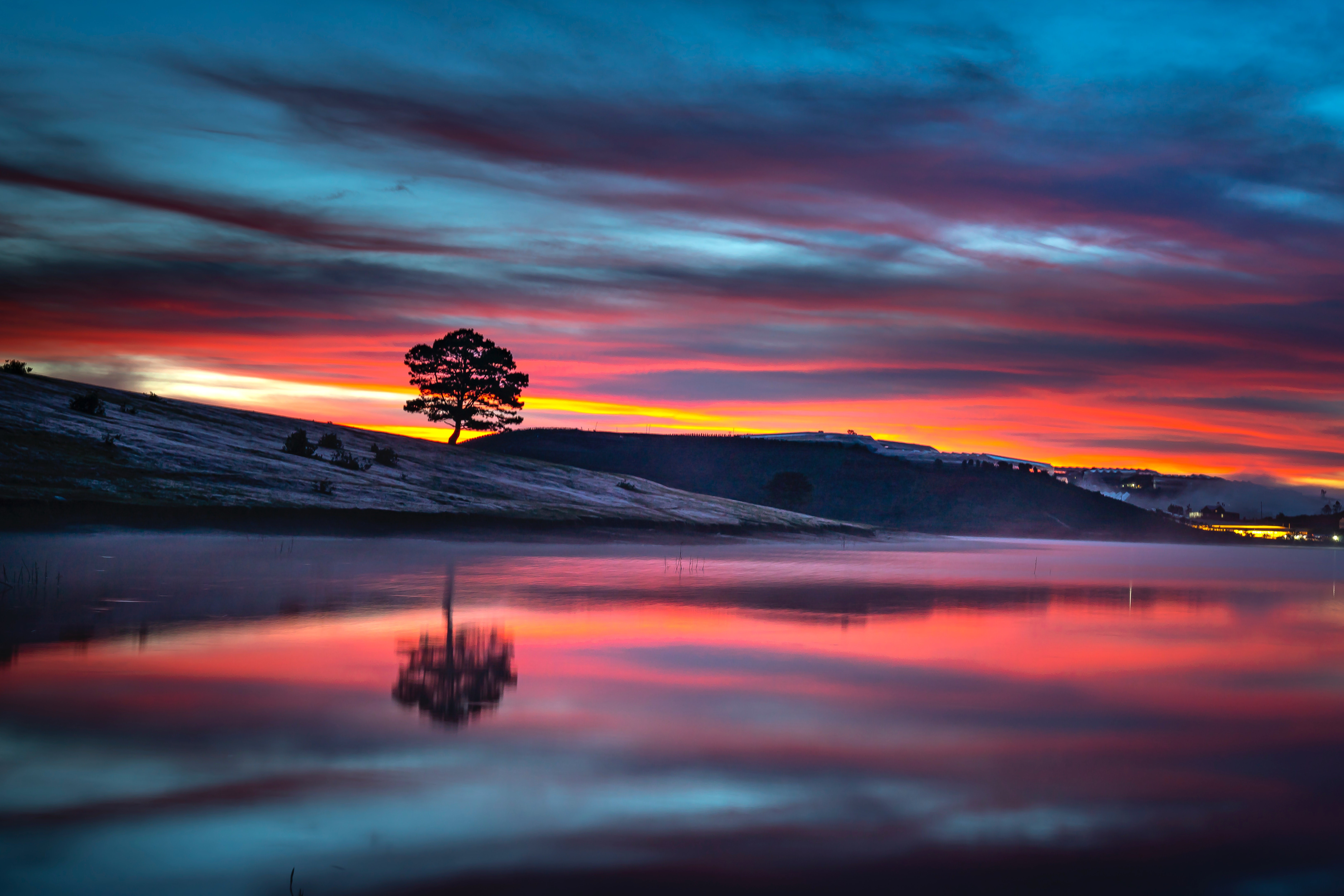tree, reflection, nature, hd, 4k, 5k, 8k, HD Wallpaper