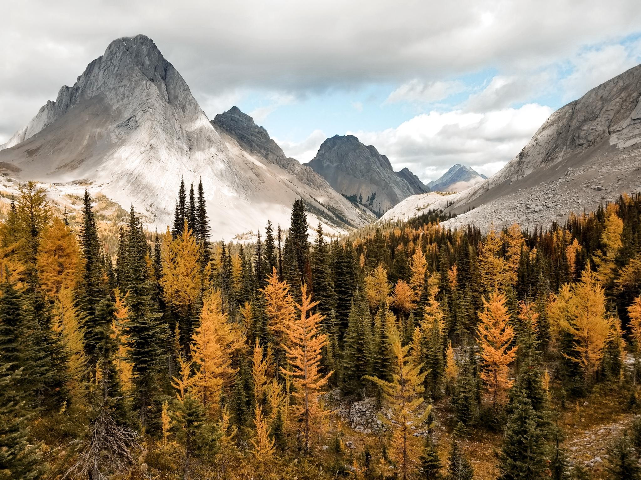 autumn, nature, hd, HD Wallpaper