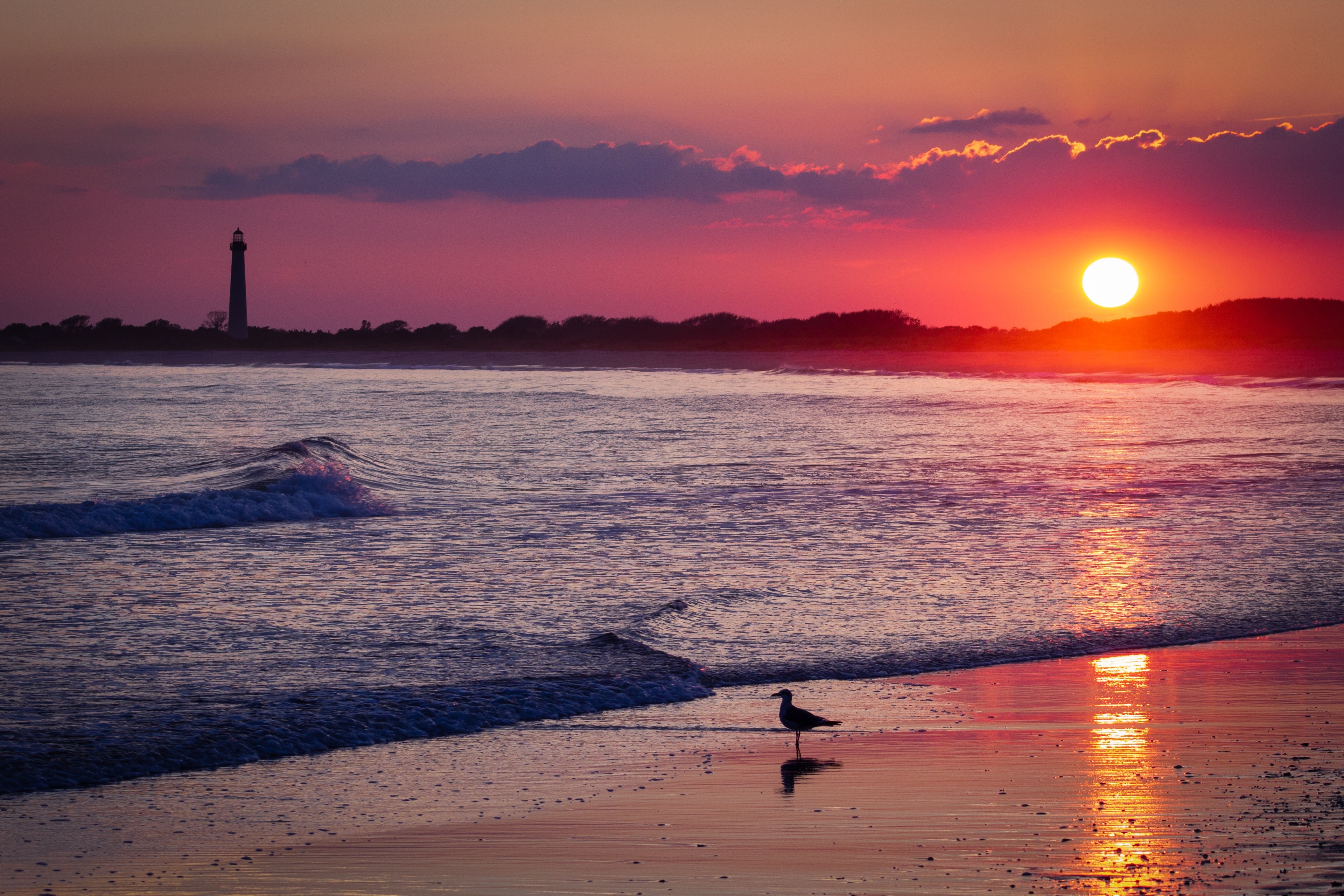 shore, sea, sunset, nature, hd, 4k, HD Wallpaper