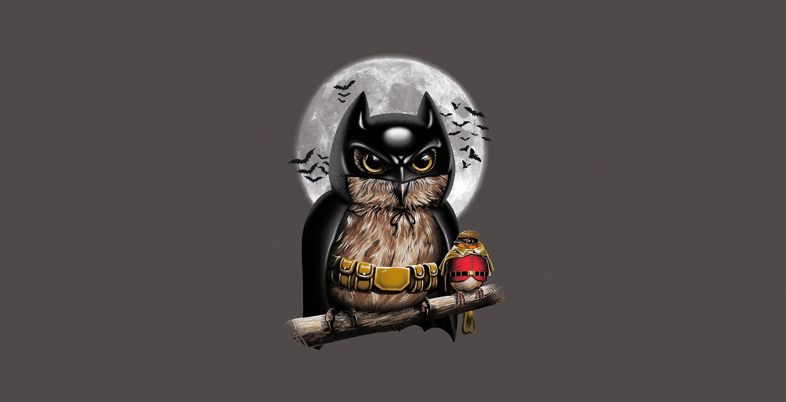 batman, robin, owl, superheroes, artist, artwork, digital art, hd, HD Wallpaper