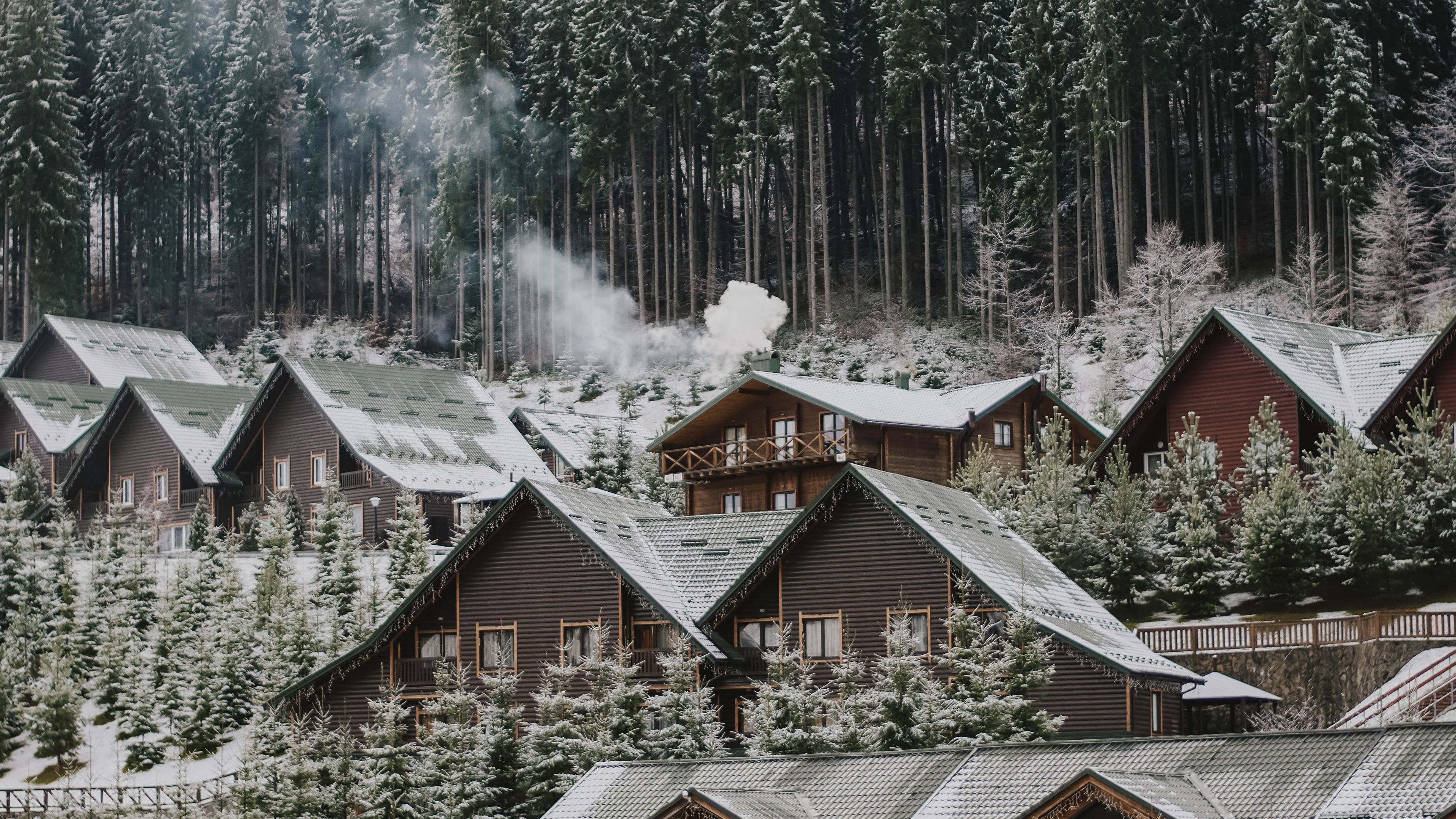 homes, forest, slope, snow, winter, nature, 4k, HD Wallpaper