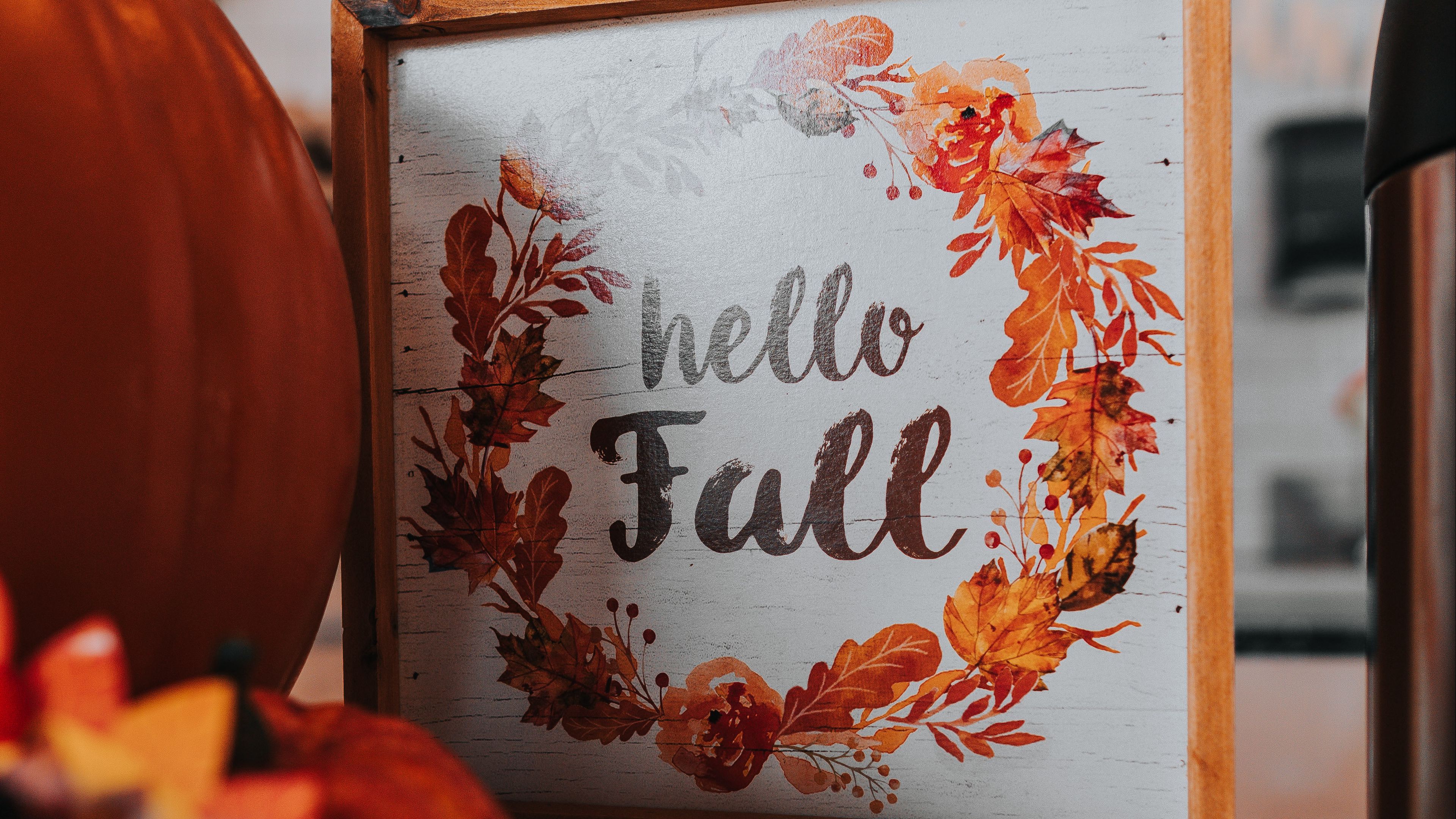 sign, inscription, pumpkin, autumn, 4k, HD Wallpaper